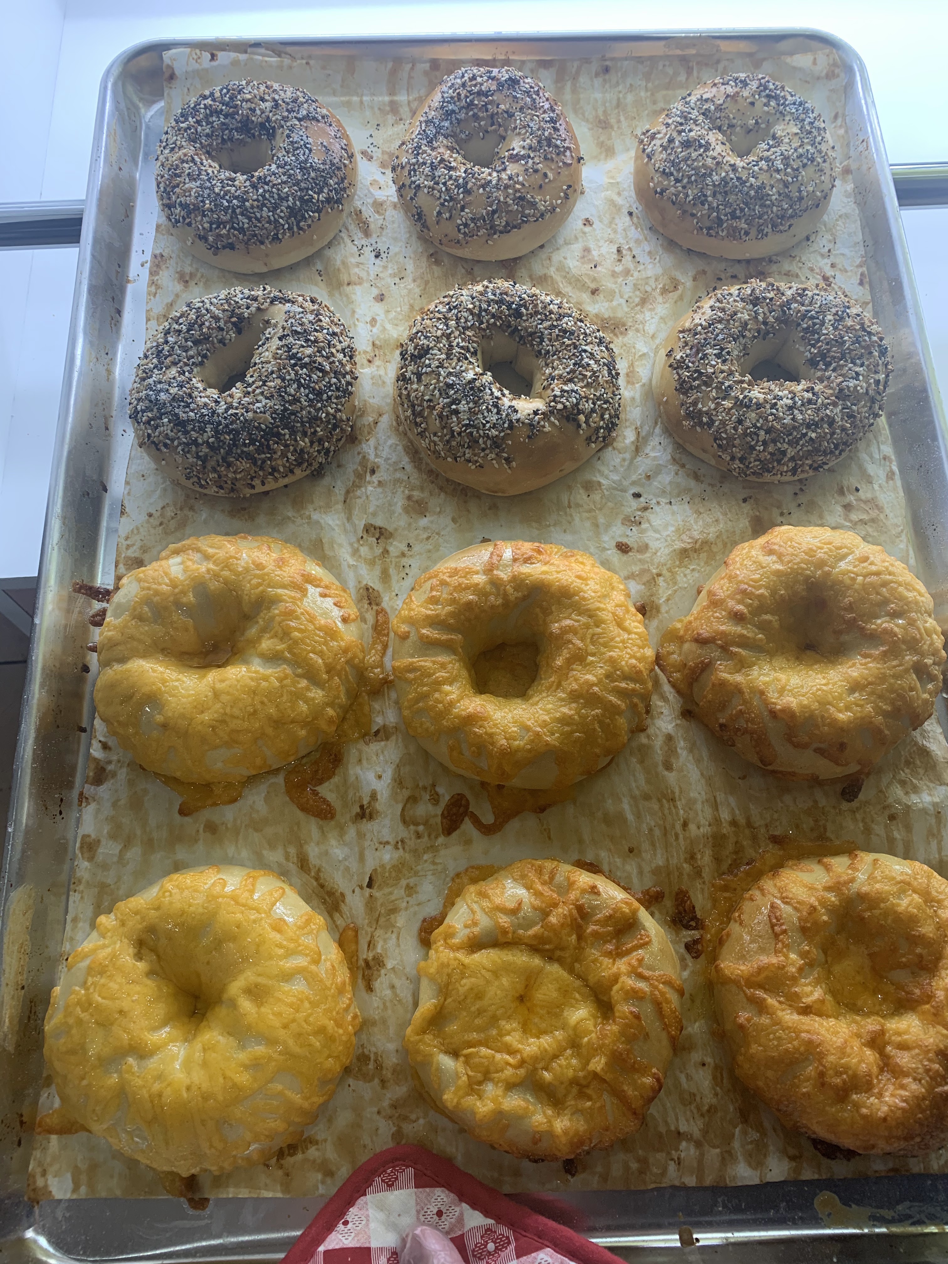 Forever Donut Bagel