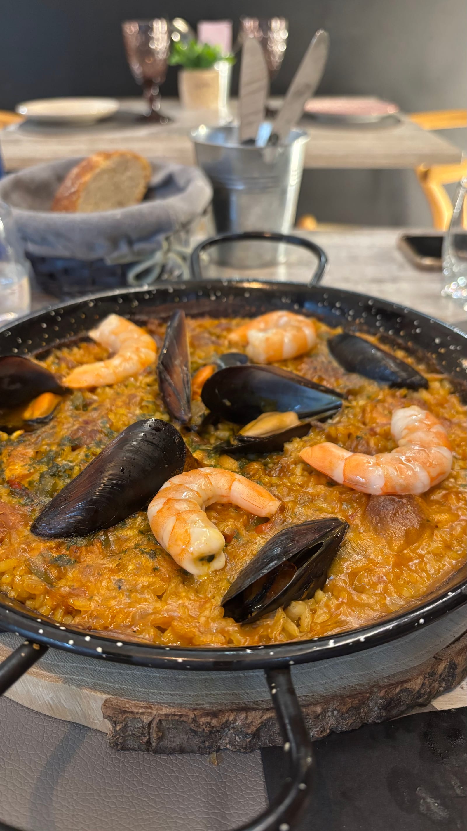 El Saüc