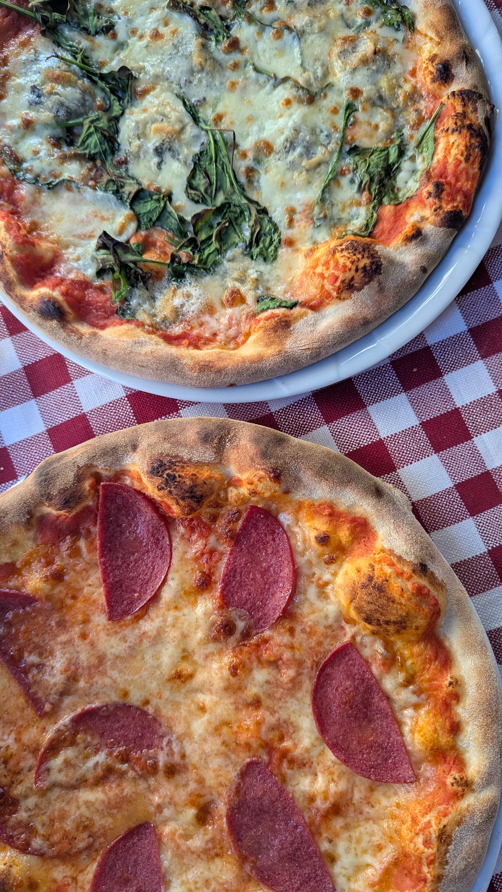 Trattoria Splendido