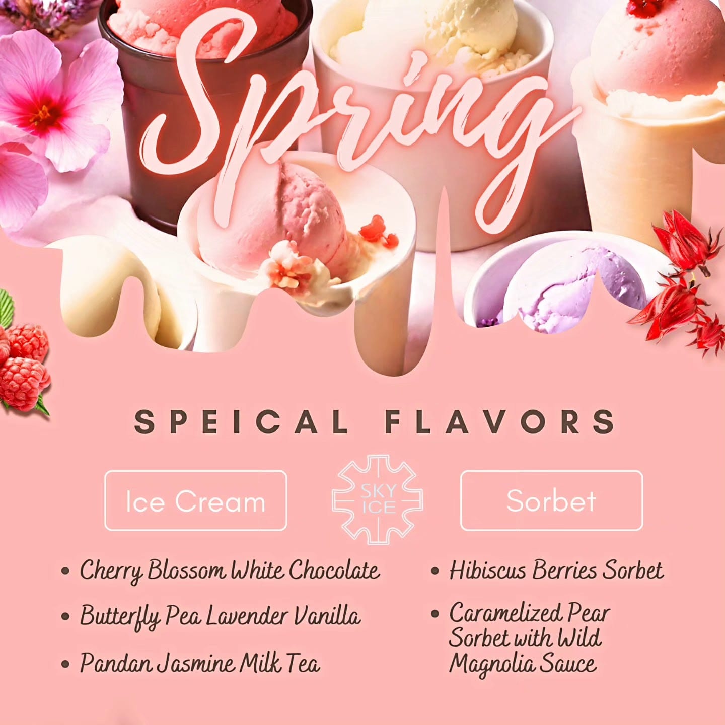 SkyIce Thai Food & Ice Cream