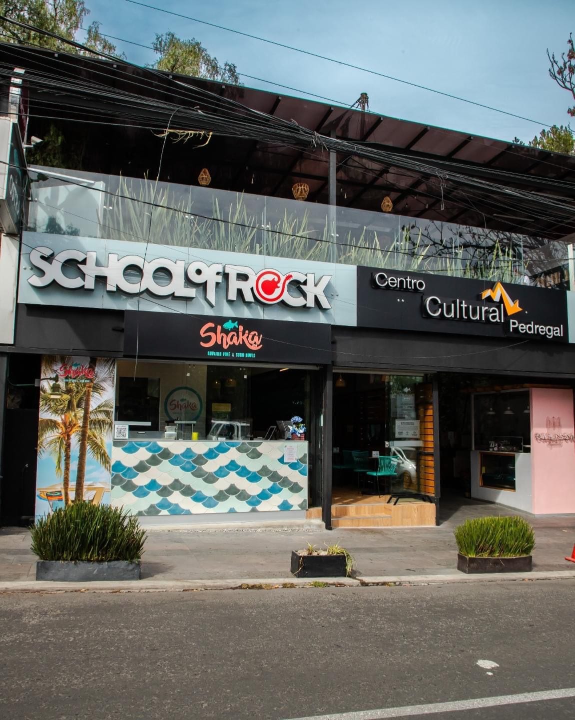 Shaka 808 Pedregal "Hawaiian Poké & Sushi Bowls"