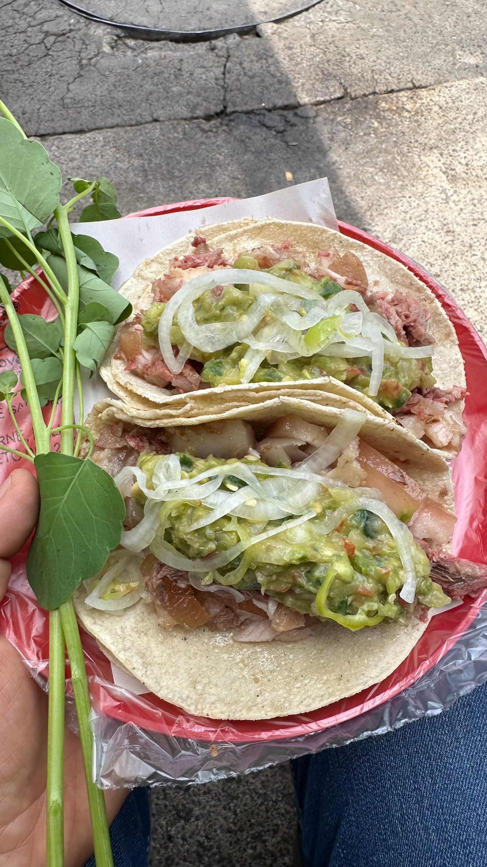 Tacos de Carnitas y Campechanos