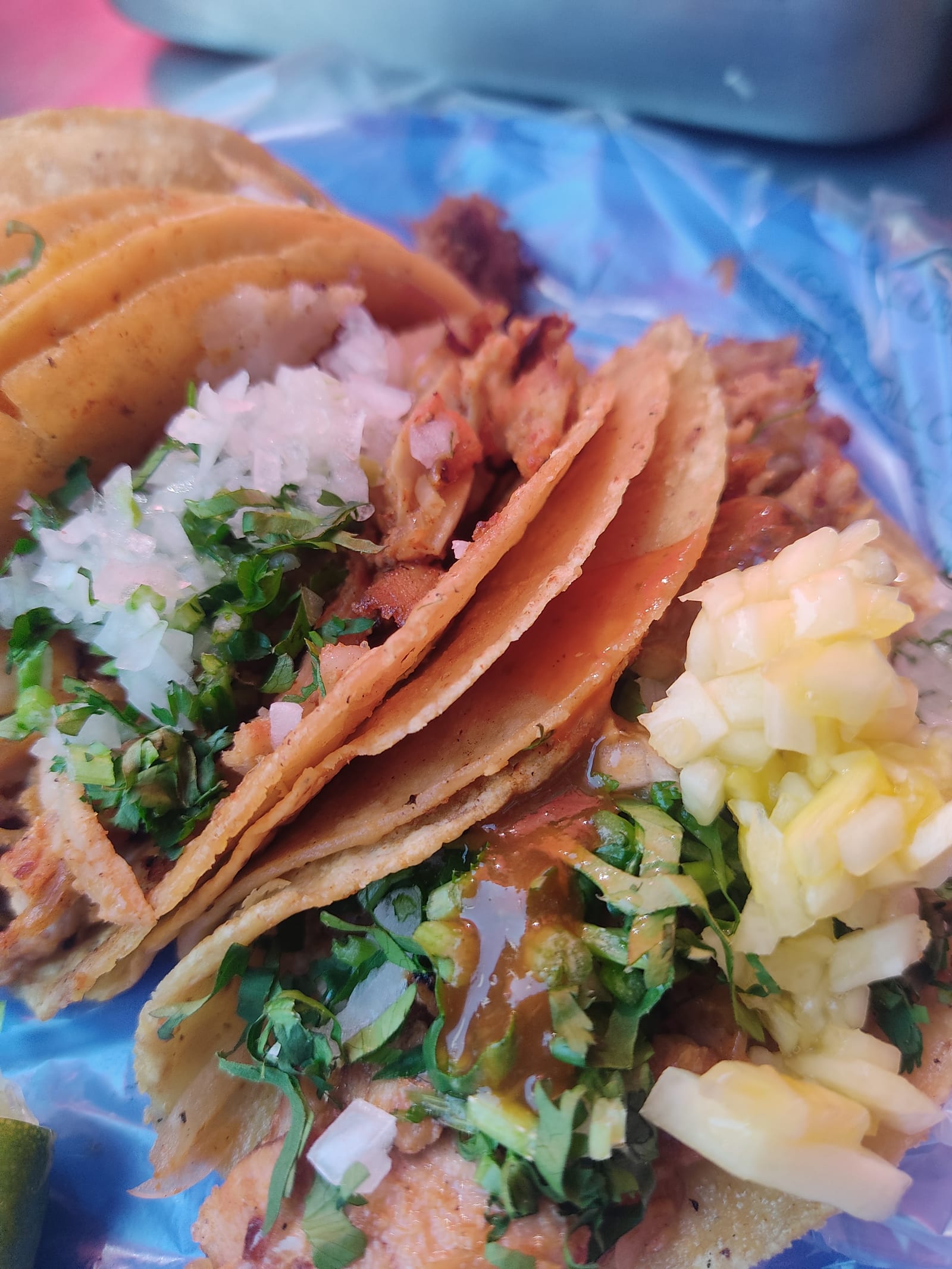 Tacos de Guisado "El Gallo"