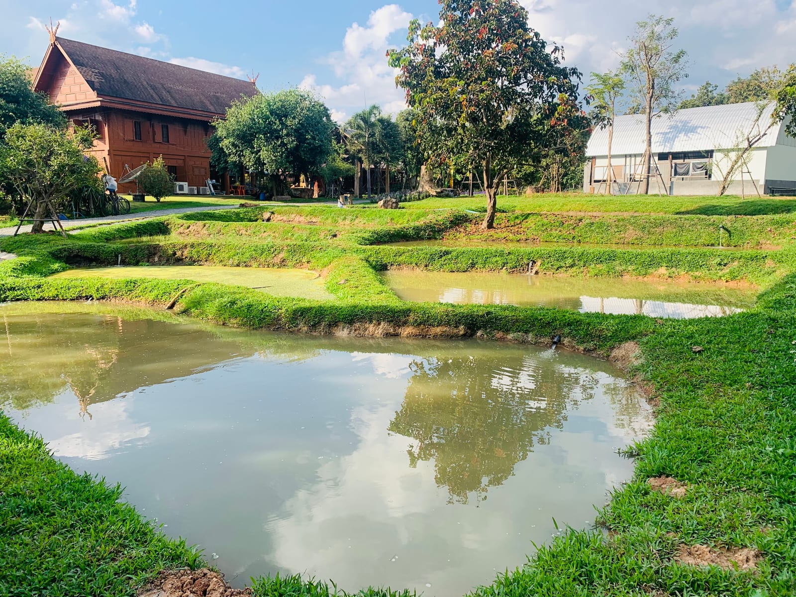 Pan's Farm แบ่งปันฟาร์ม