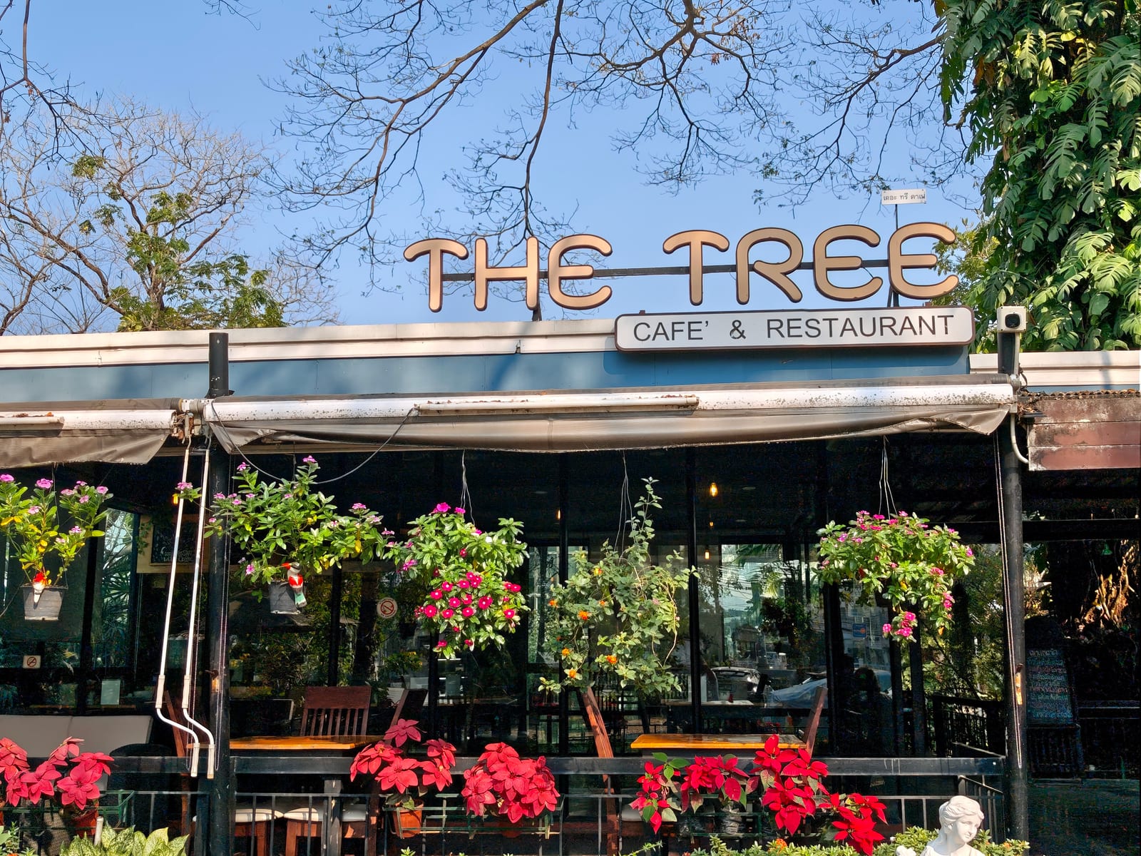 The Tree Cafe' and Restaurant