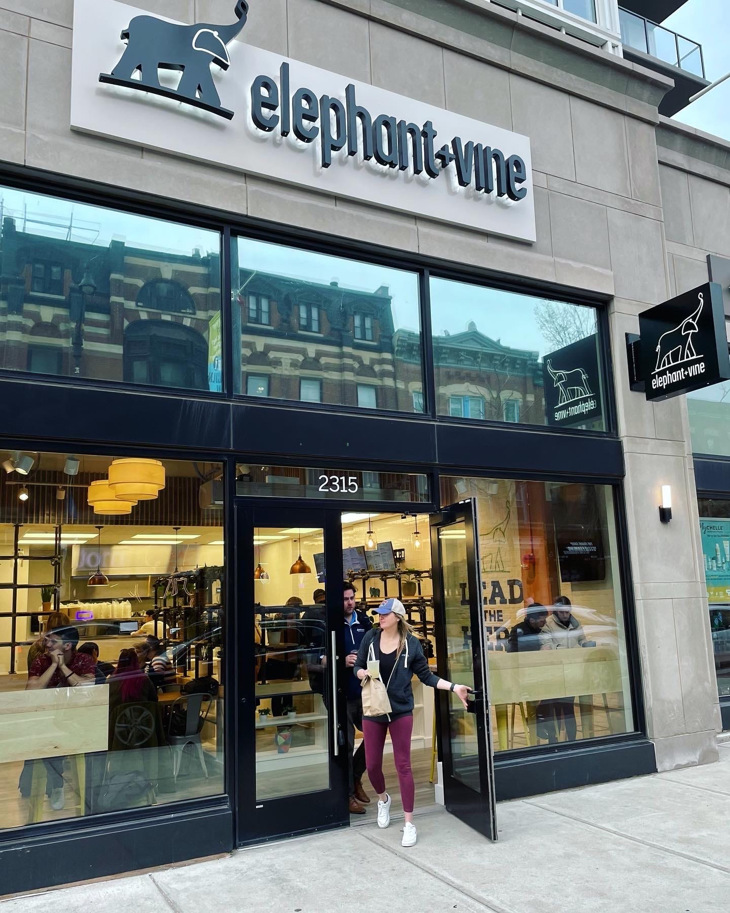 Elephant + Vine