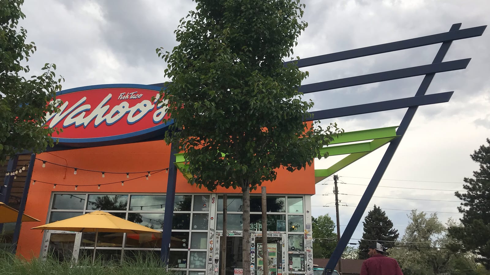 Wahoo's Fish Taco