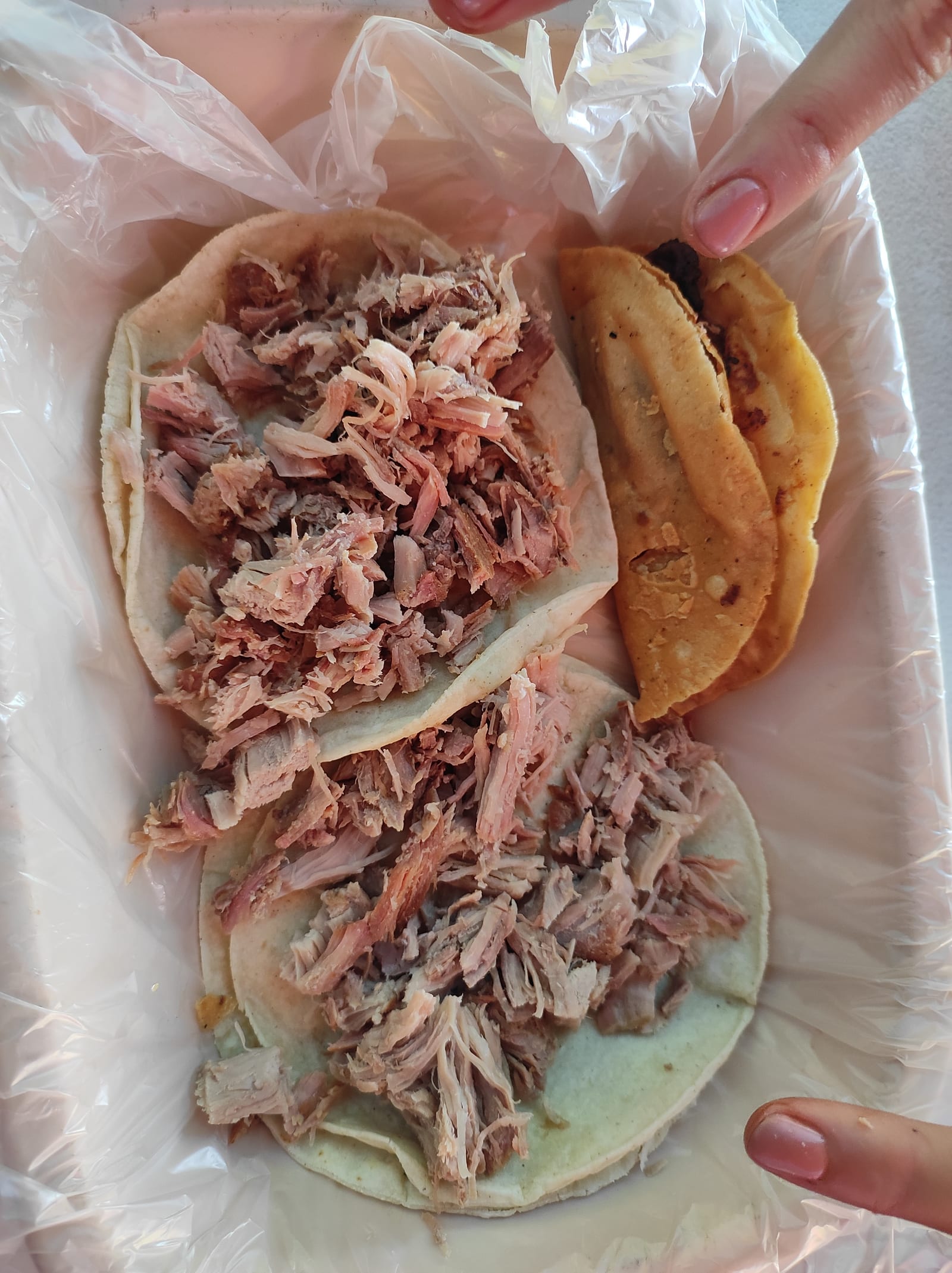 Carnitas el Cache