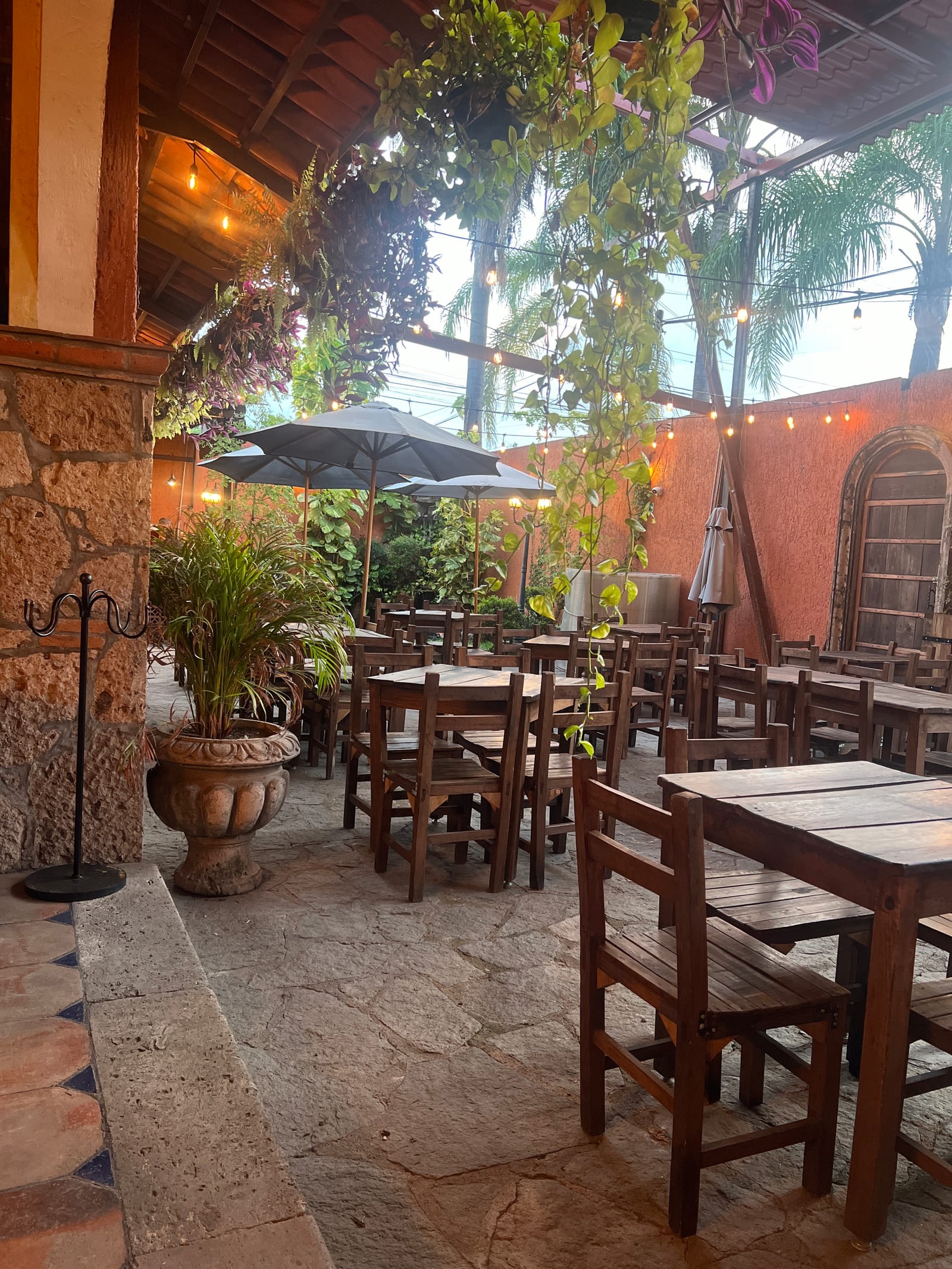 El Rey Botanero Restaurante