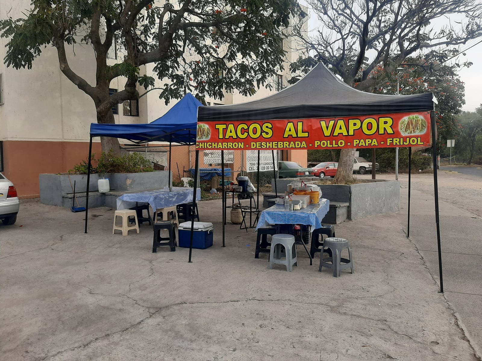 Tacos Al Vapor Yoni