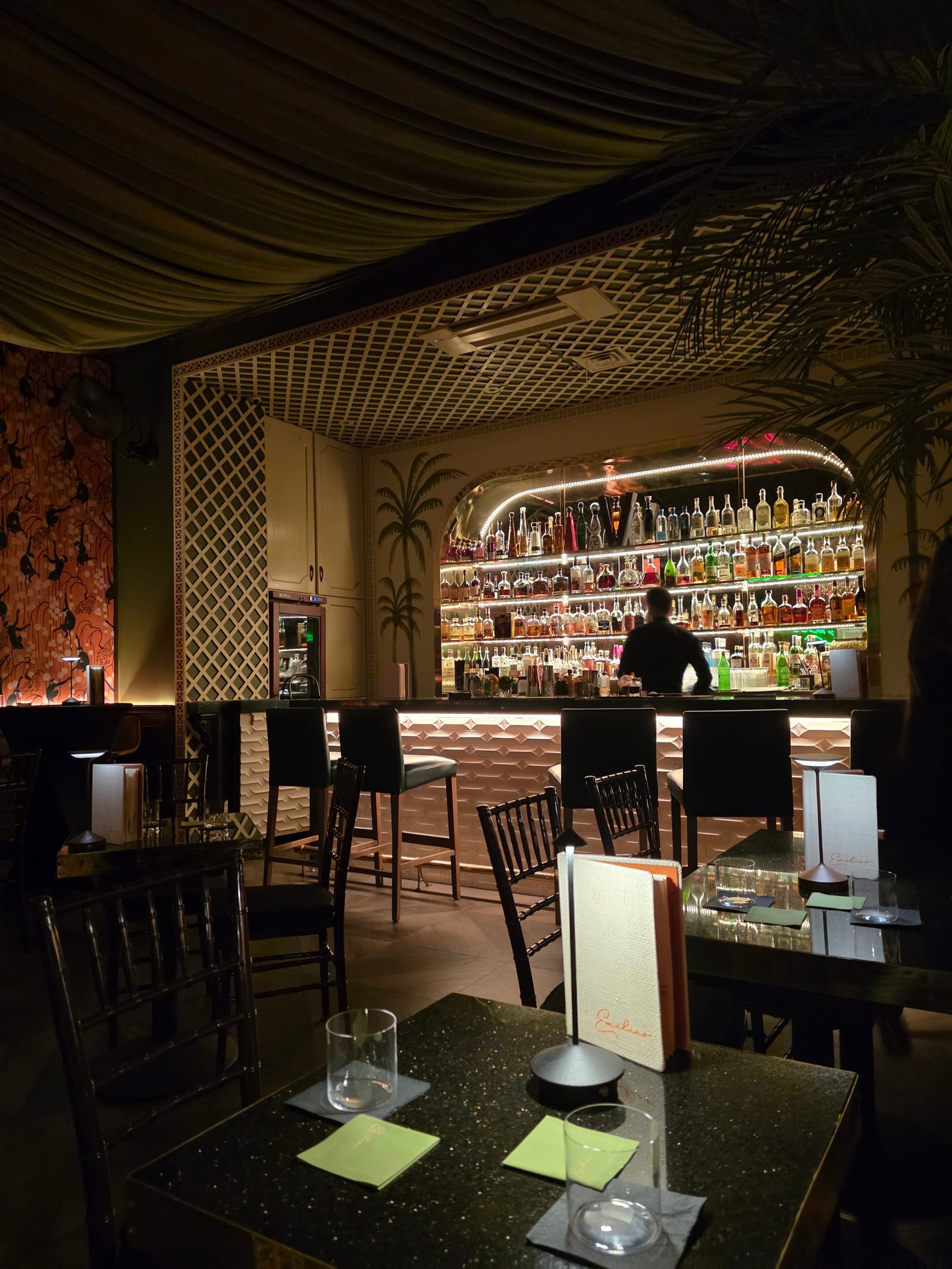 Emilia's Havana
