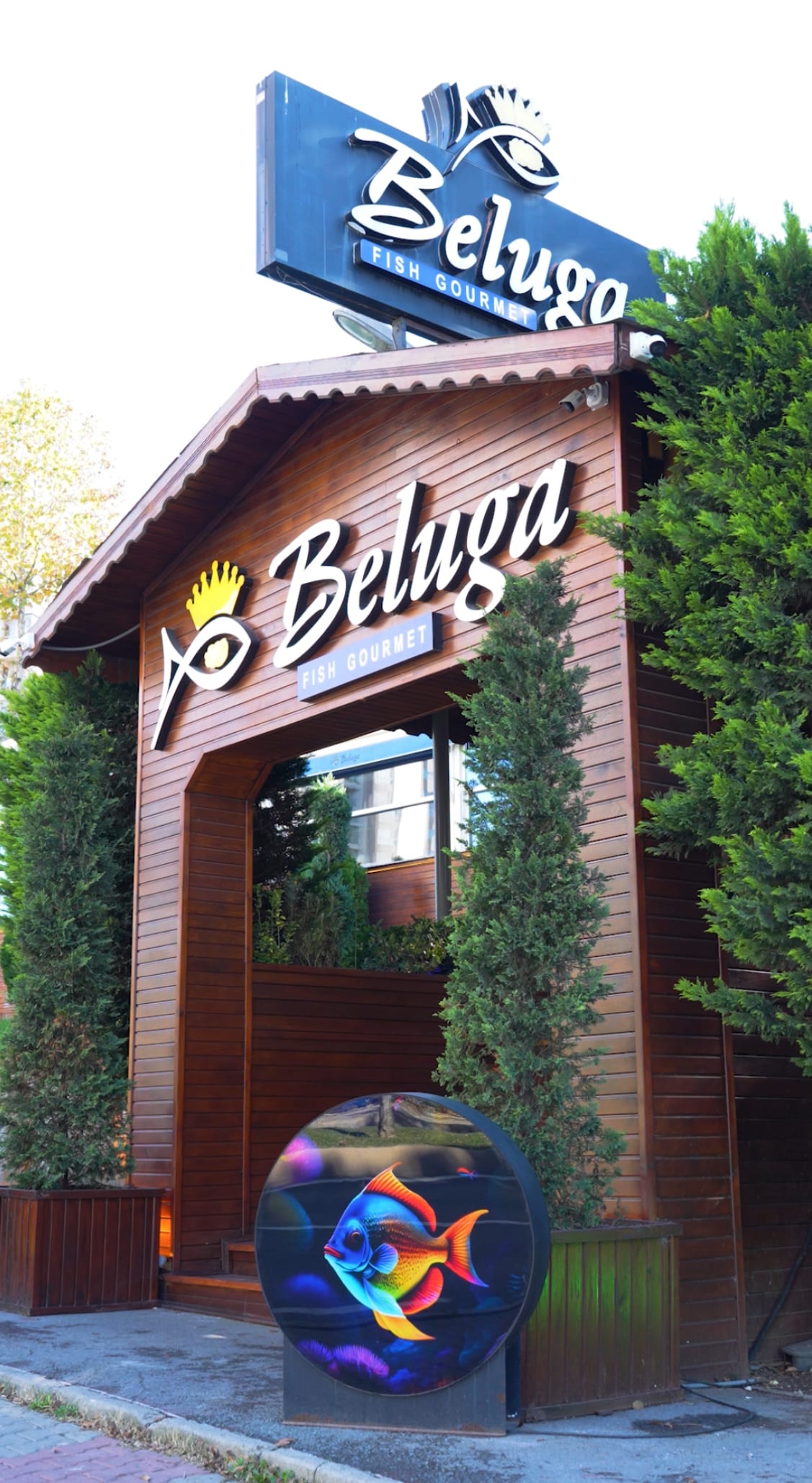 Beluga Fish Gourmet