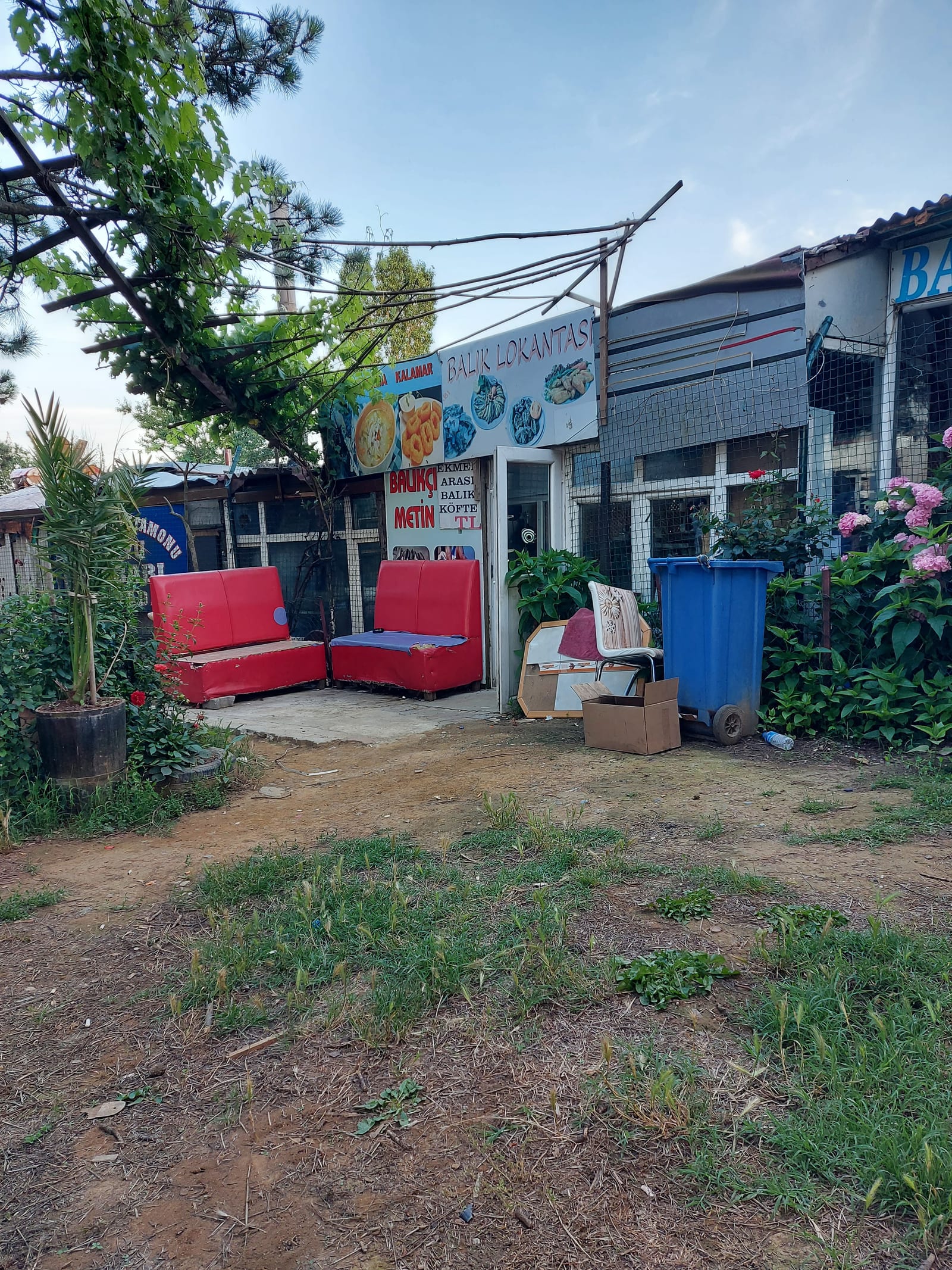 Gazi Balıkçısı Metin Usta