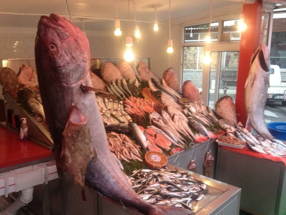Mer Balık Kireçburnu