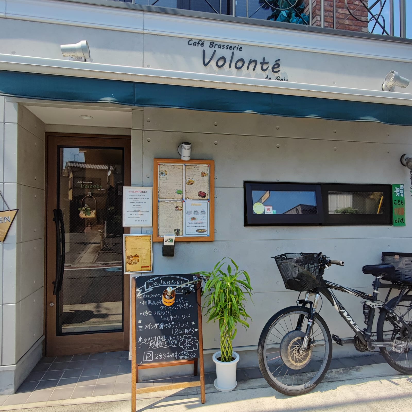 Volonte