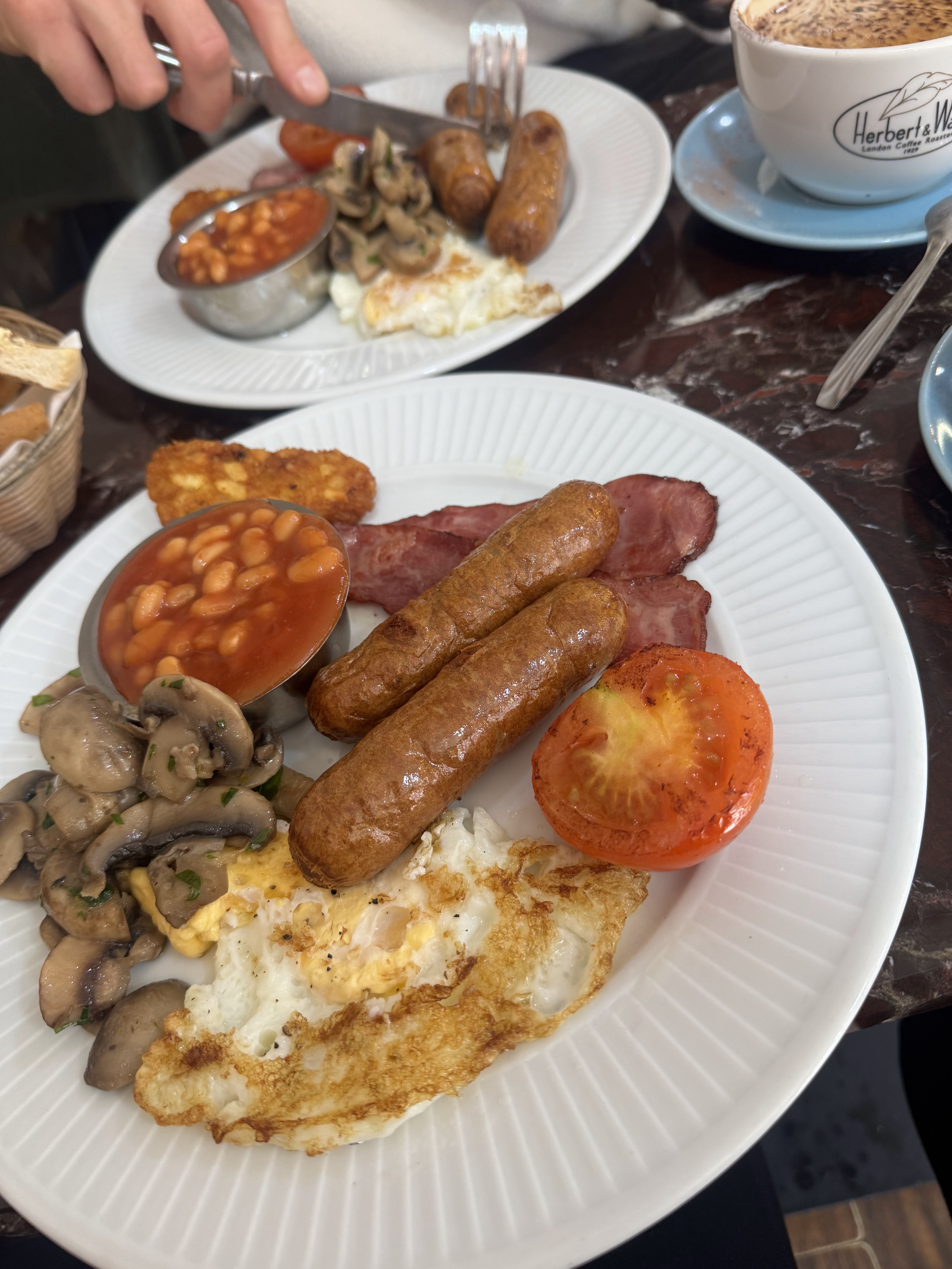 Icosium Mediterranean Café