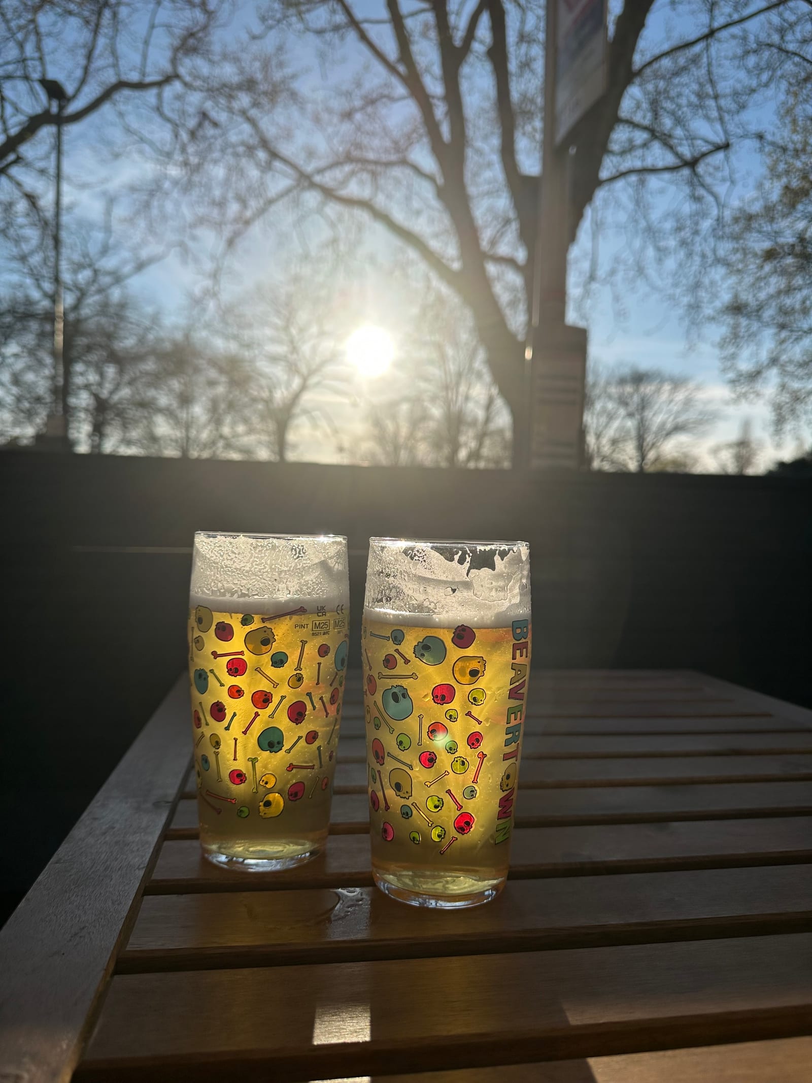 Sunny's