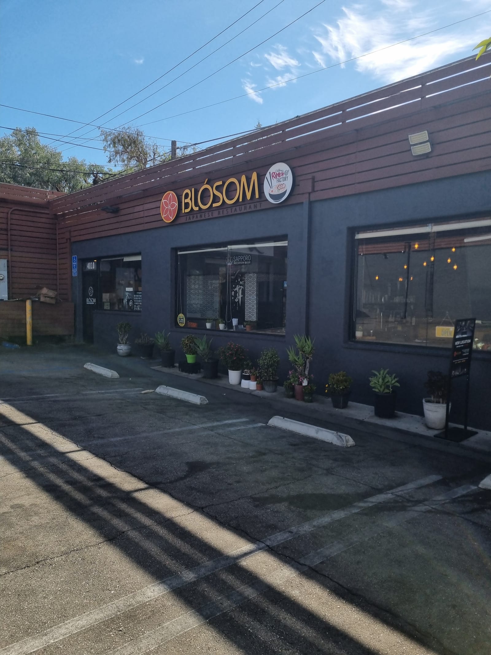 Blosom Japanese Restaurant