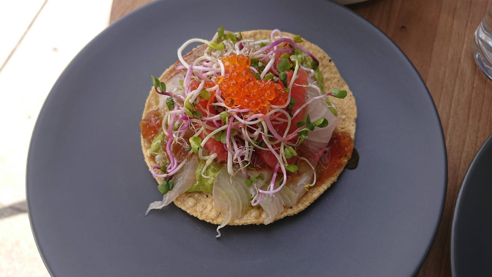 Ceviche Project