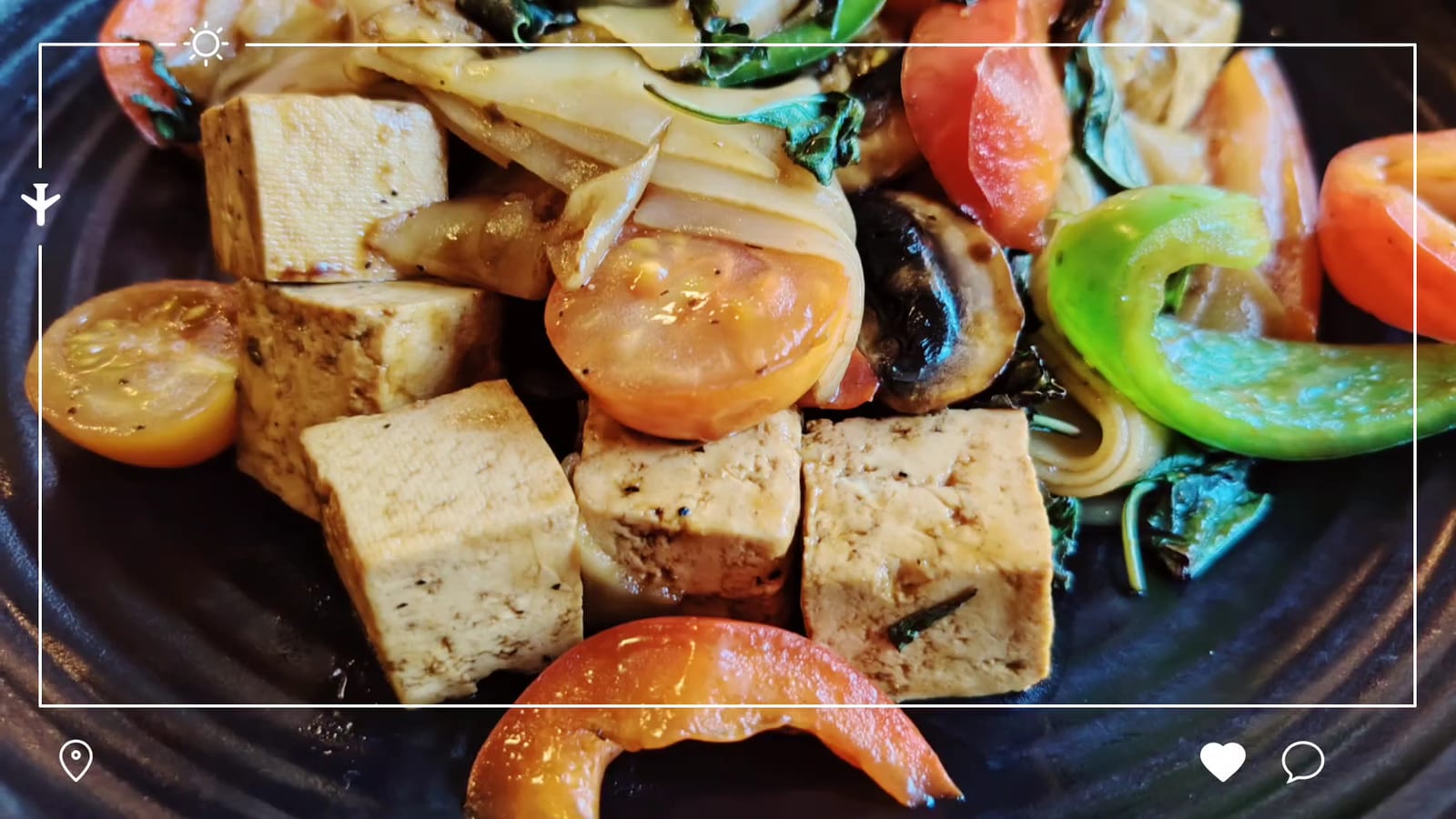 Samata Vegan House