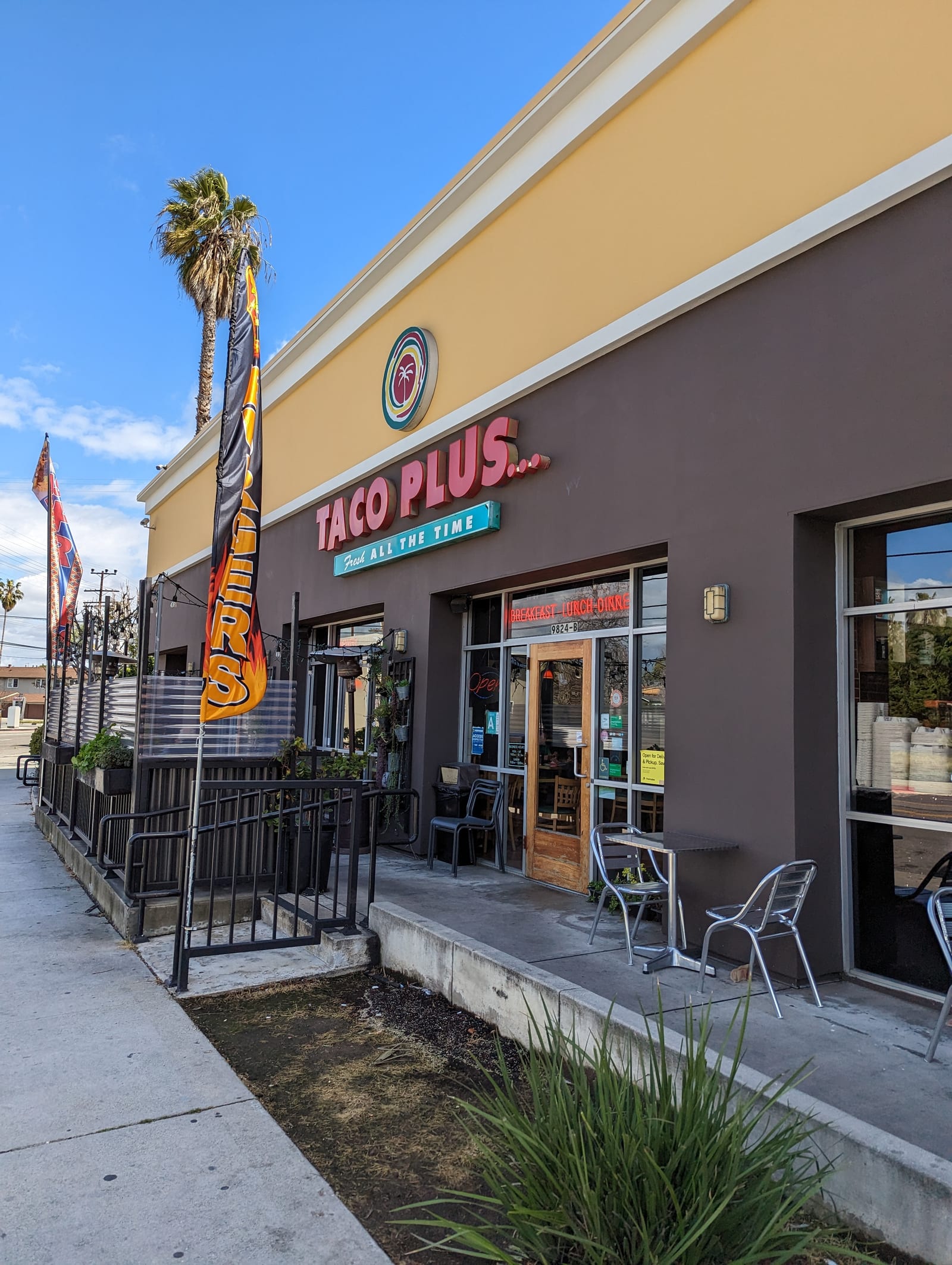 Taco Plus