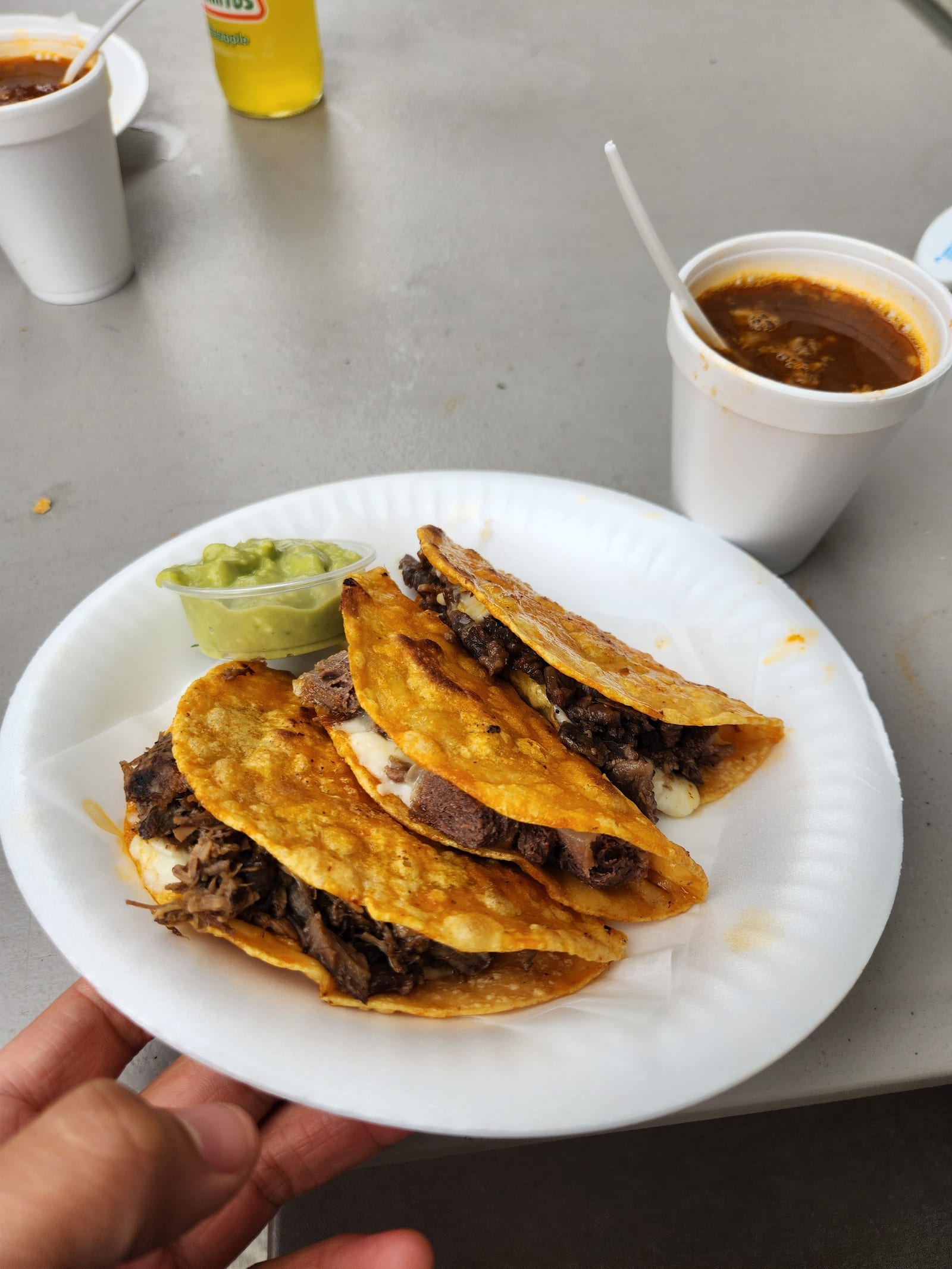 Tacos Y Birria La Única