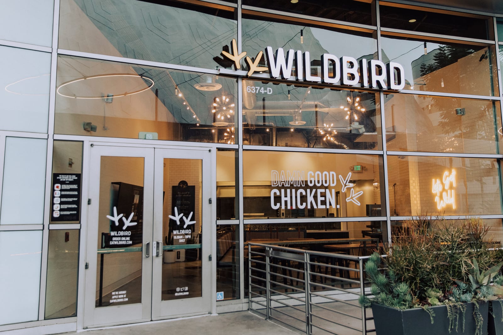 Wildbird