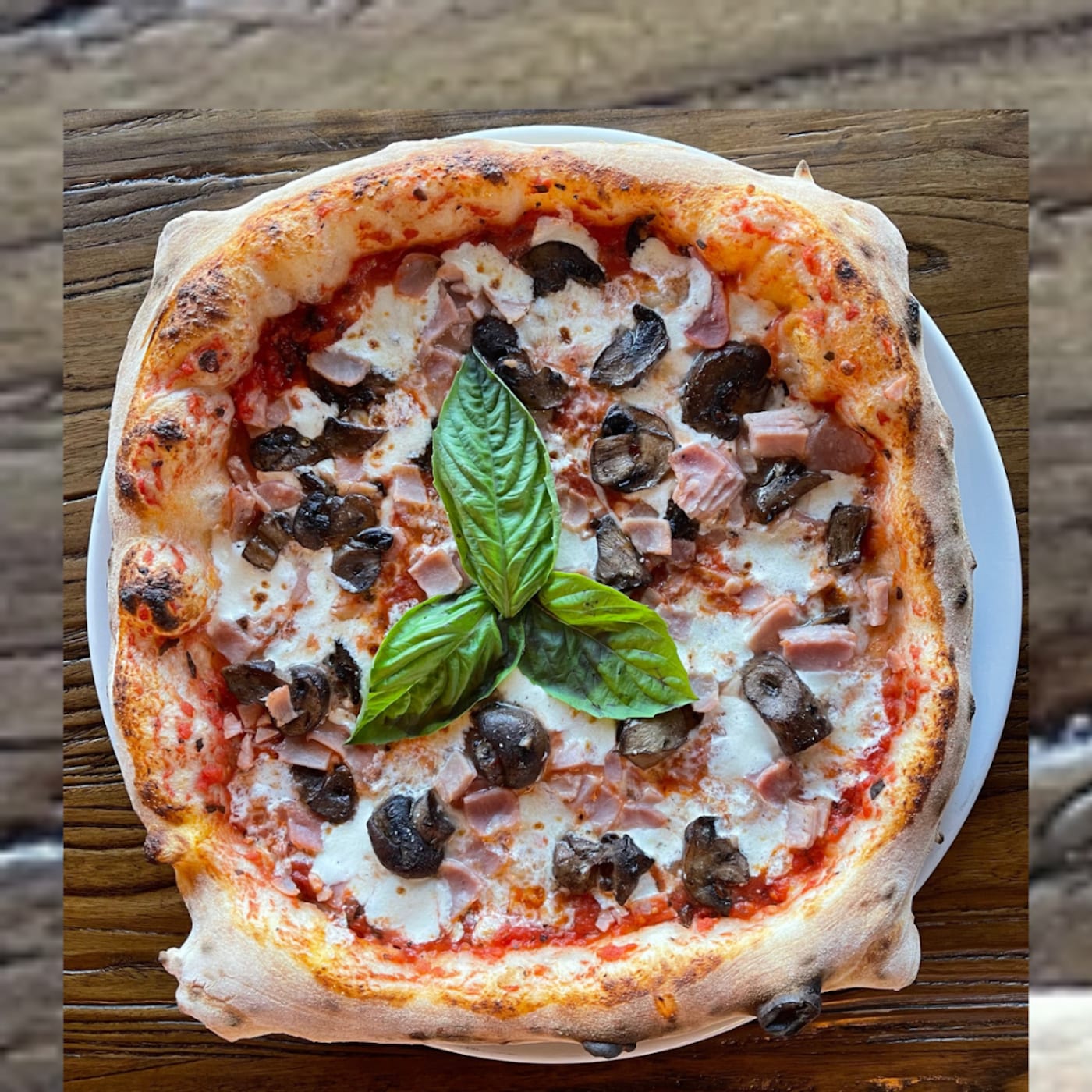 Napoli 1800 Cucina & Pizzeria