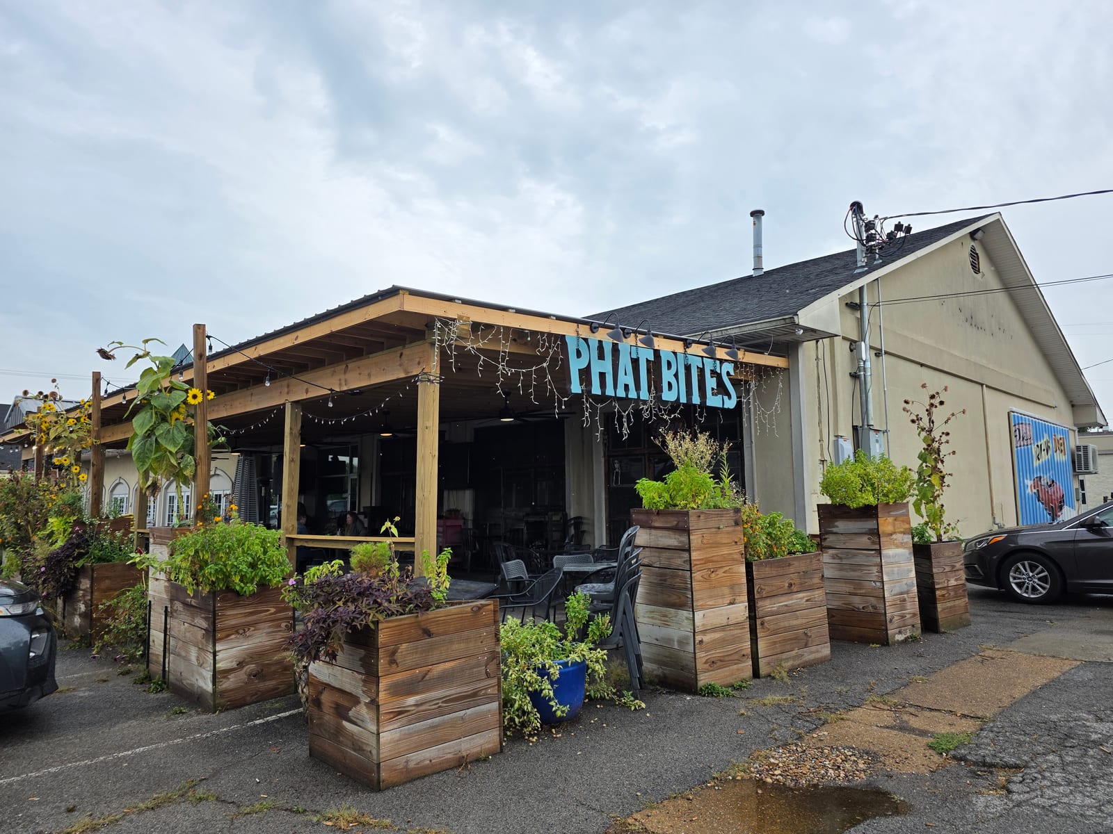 Phat Bites