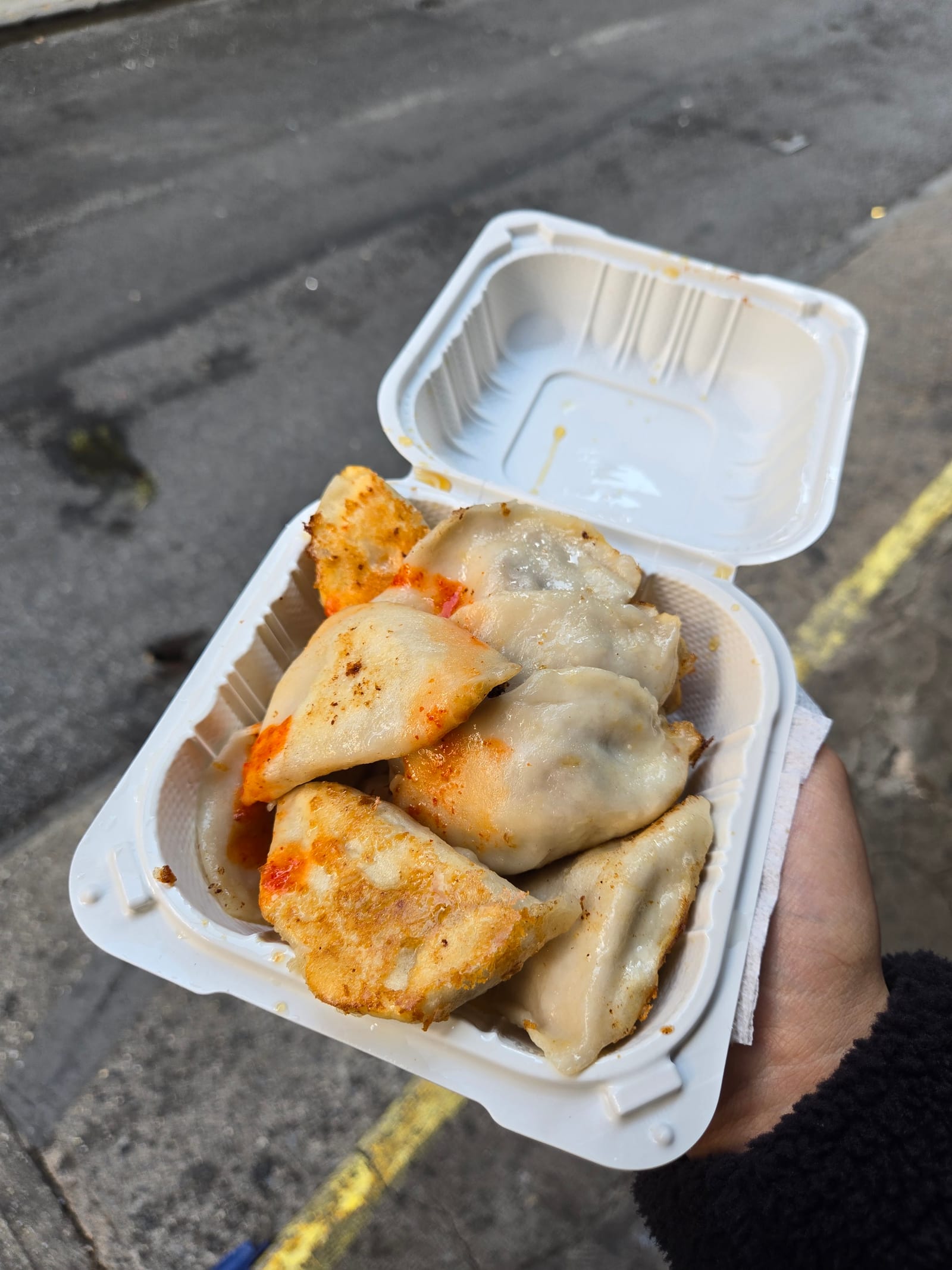 Fried Dumpling