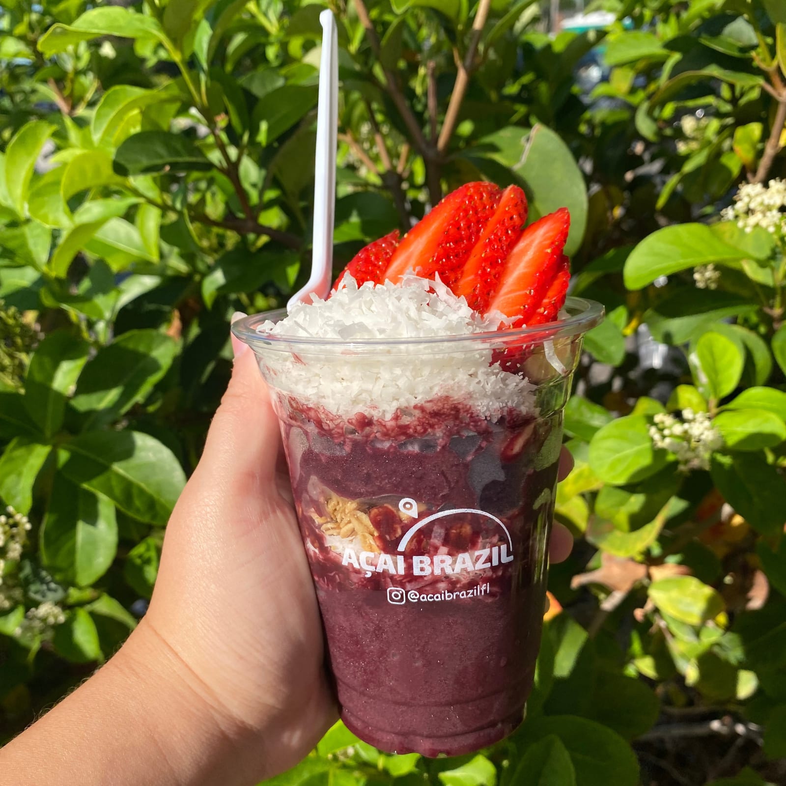 Flow Açaí FL