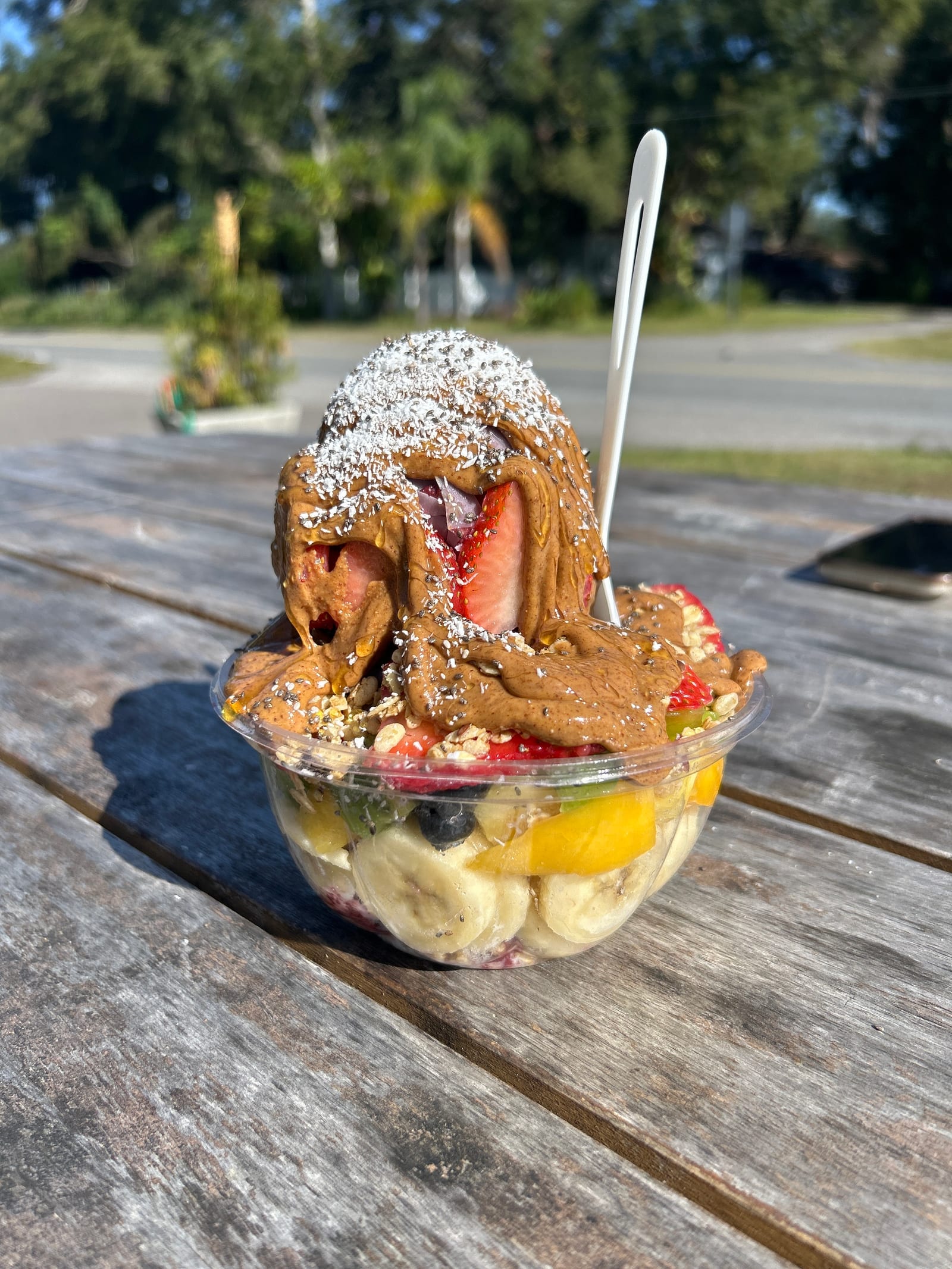 Purple Ocean Superfood Bar