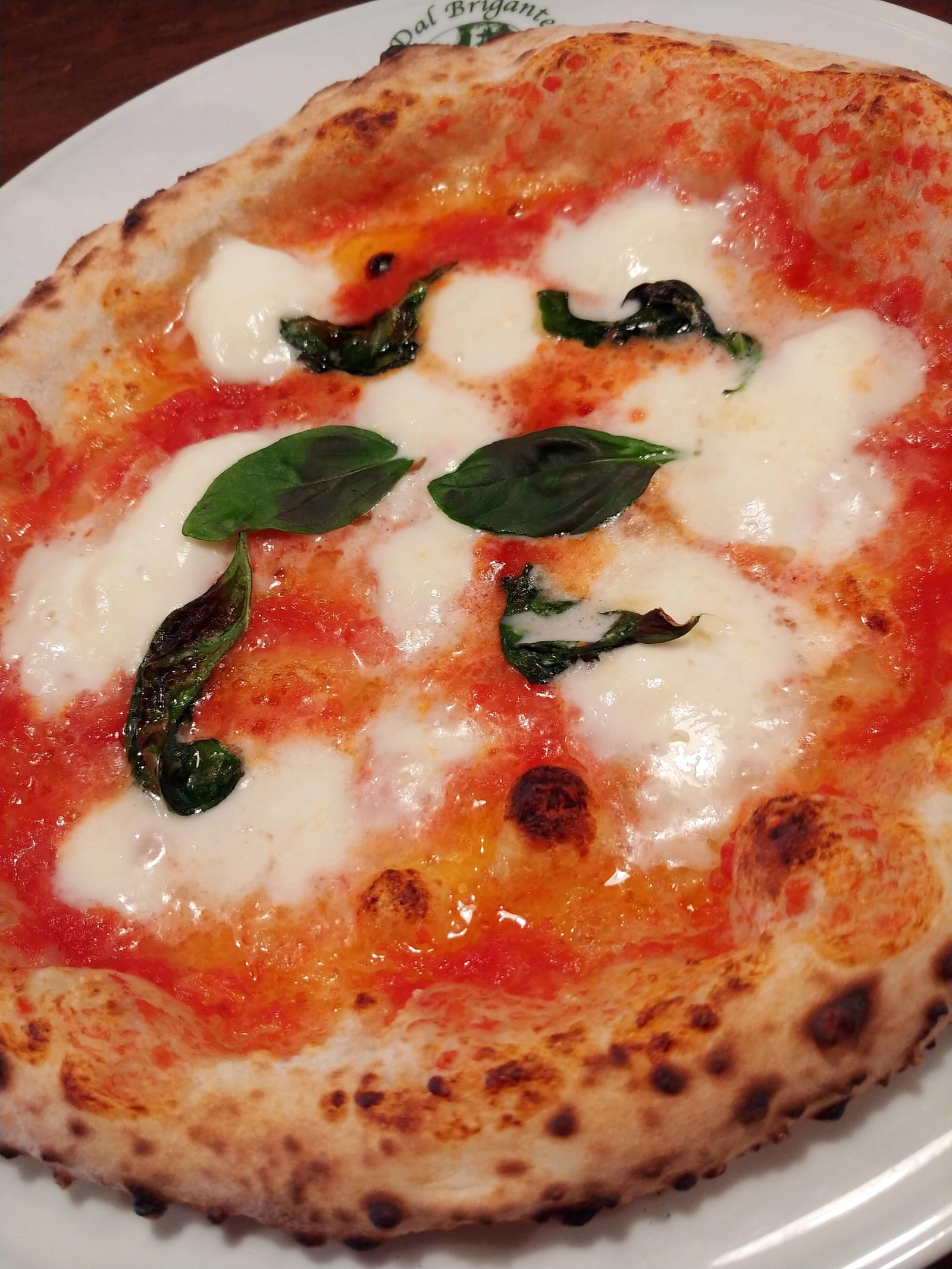 Dal Brigante