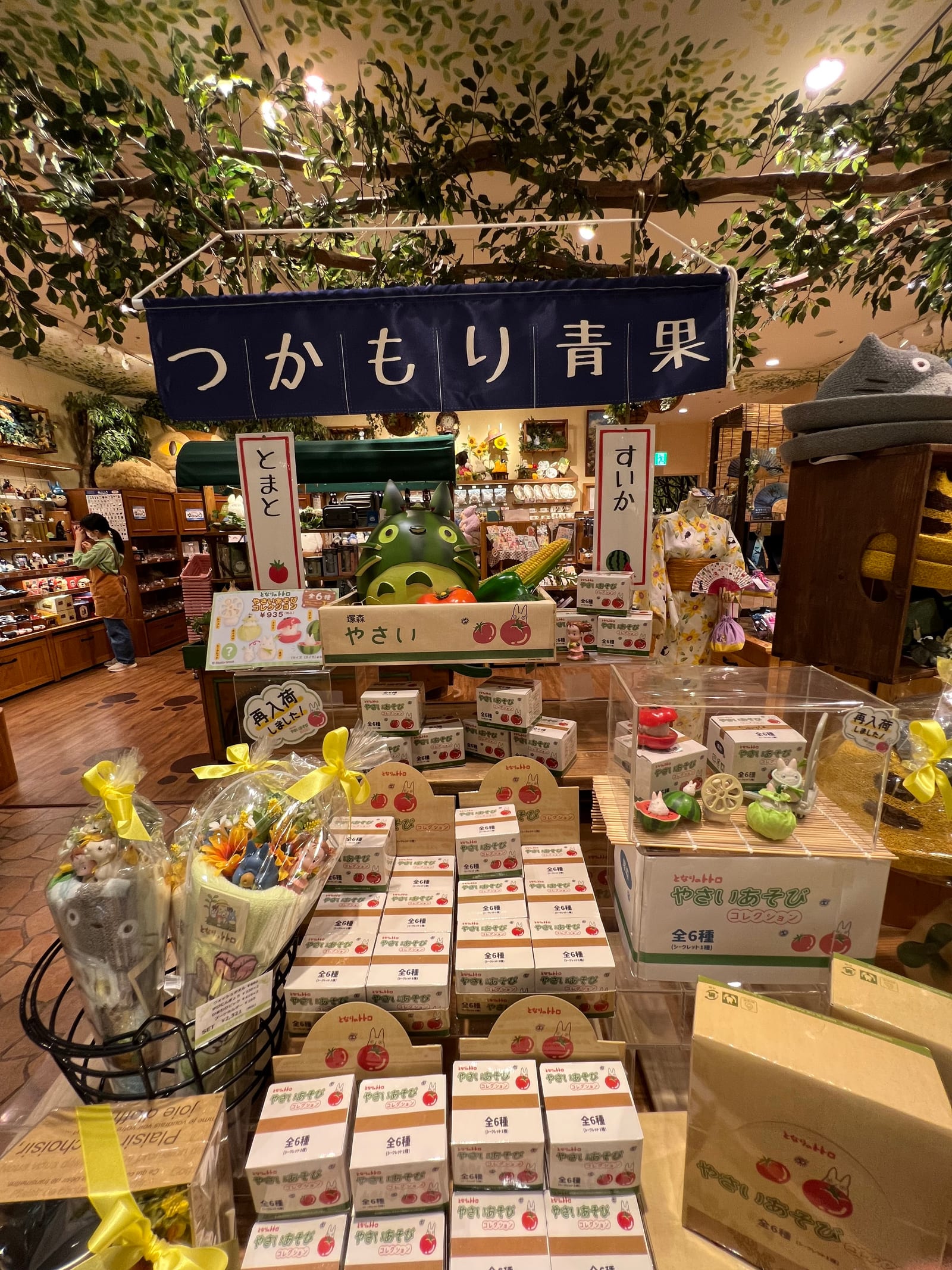 Donguri