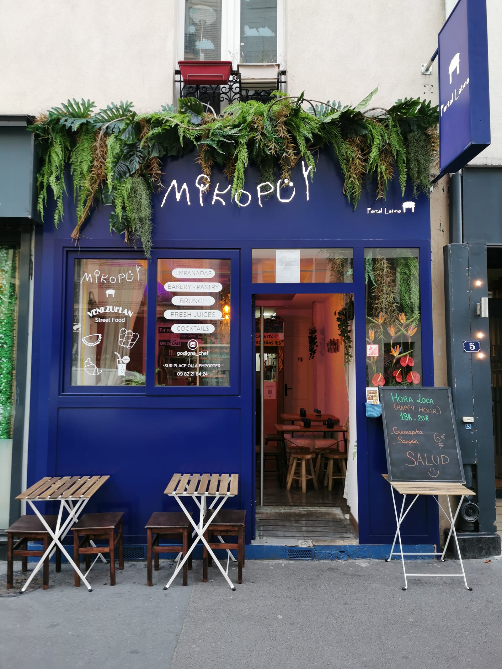 Mikopüy