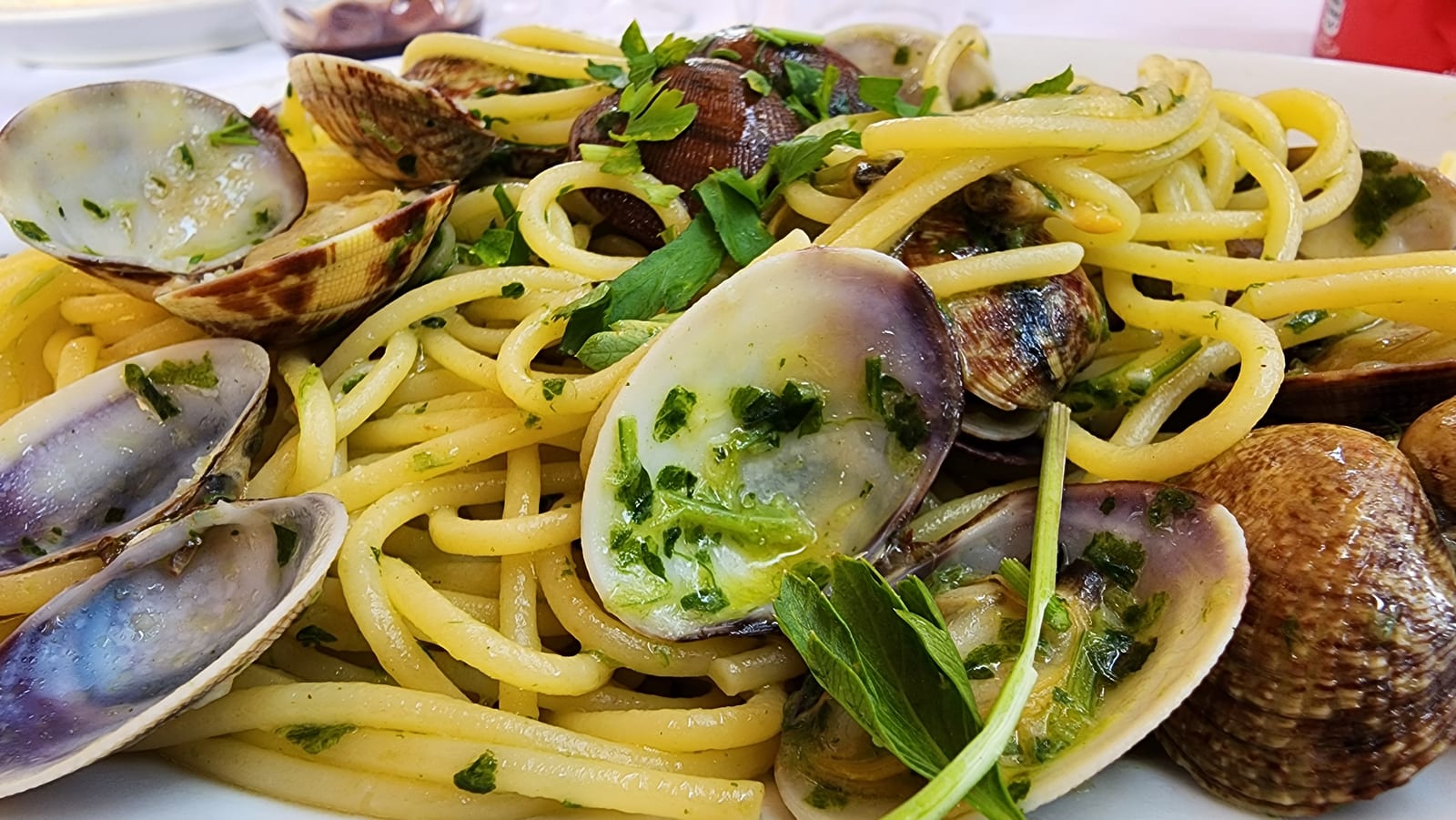 Trattoria La Terrazzetta Da Mimmo e Maurizio