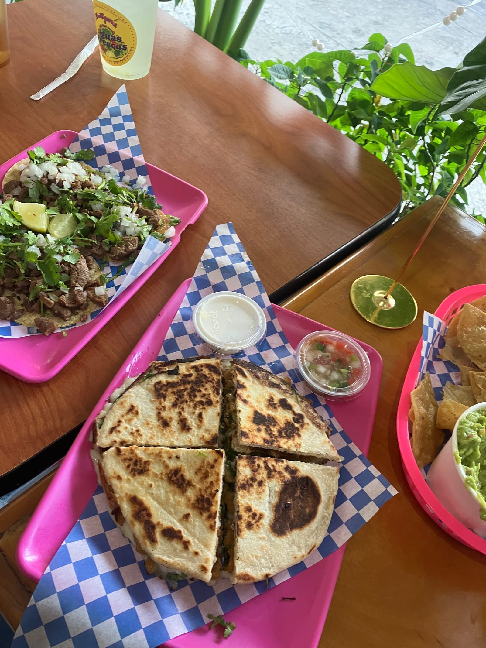Plantaqueria