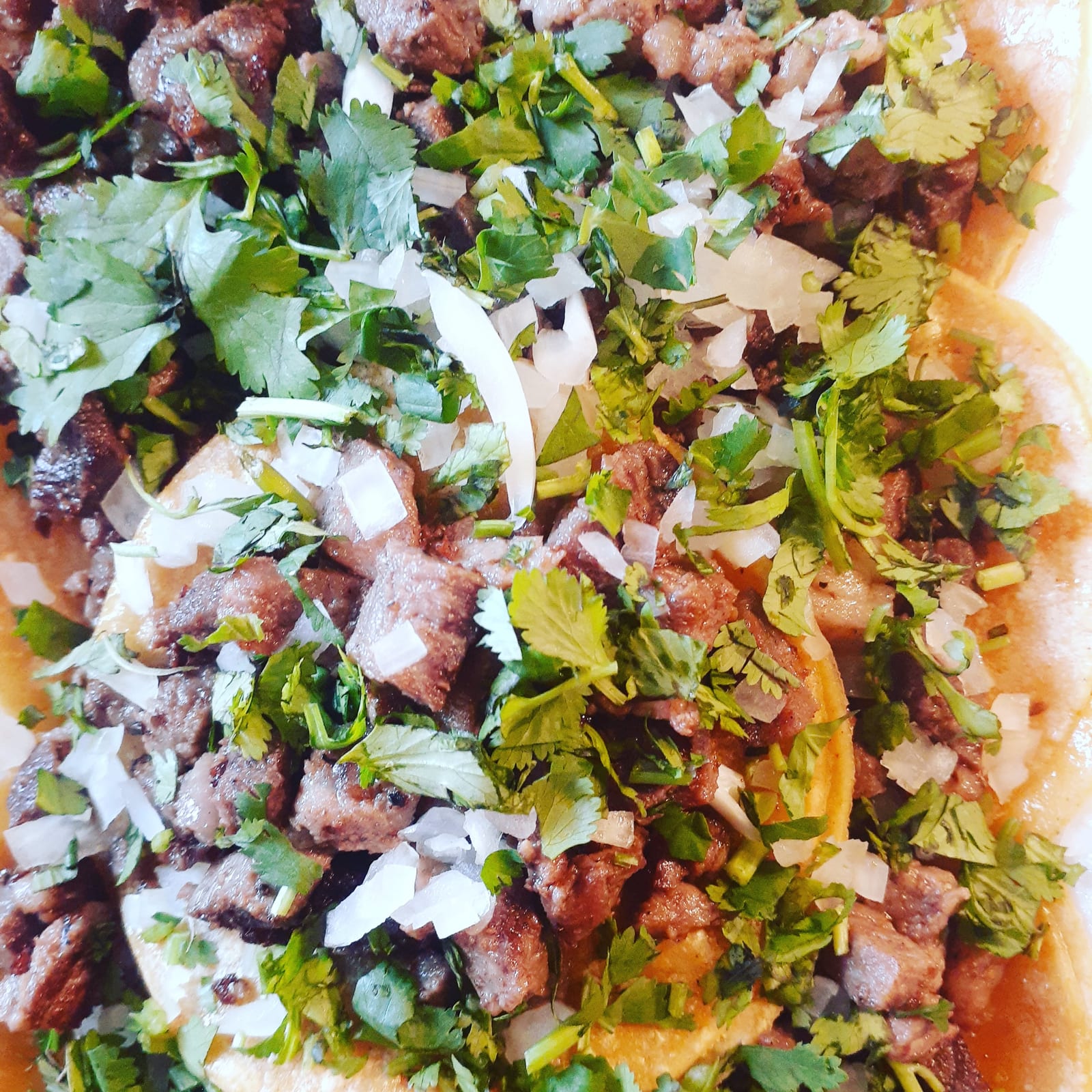 Tacos Mando Estilo Monterrey