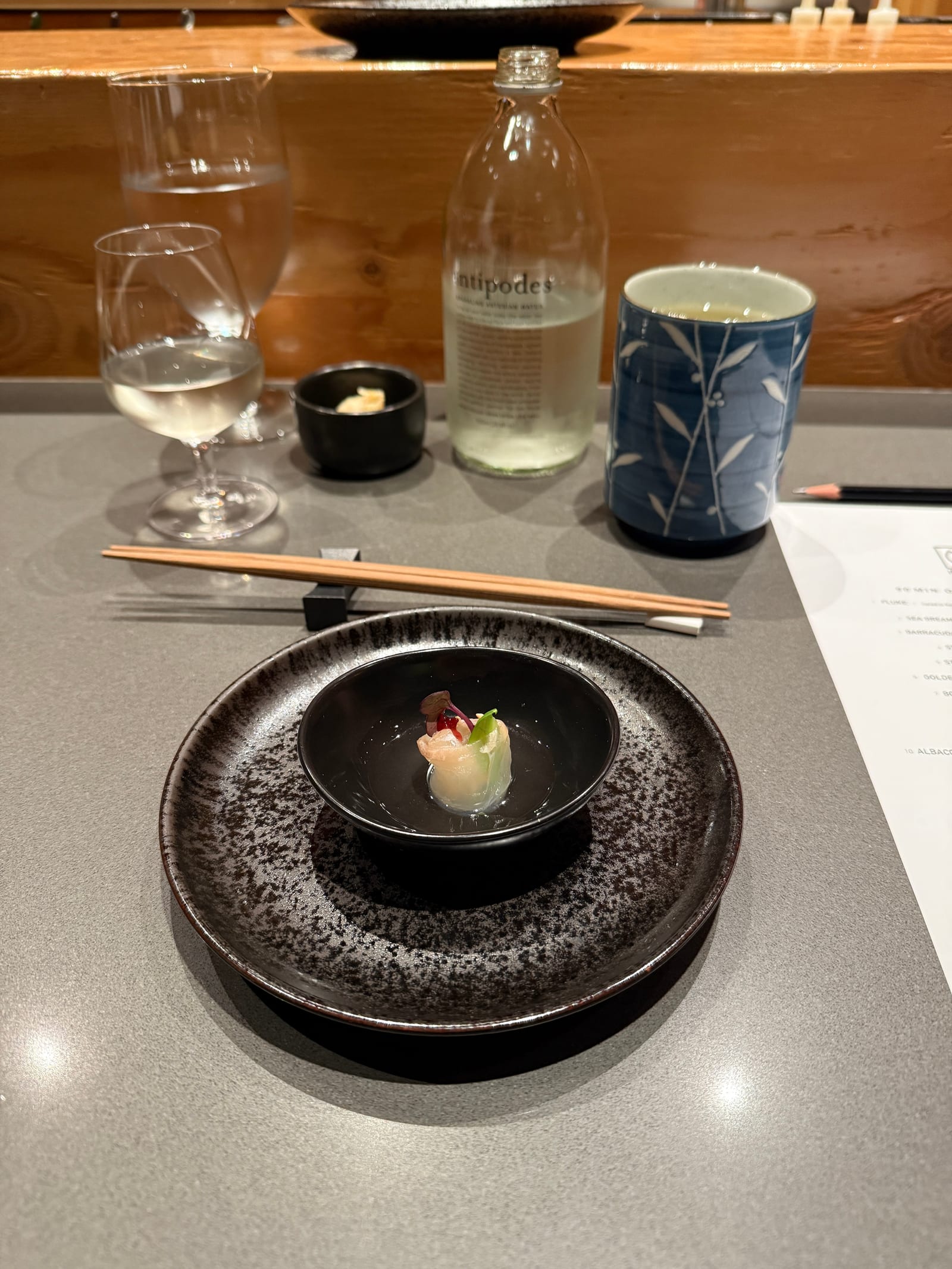 Hidden Fish