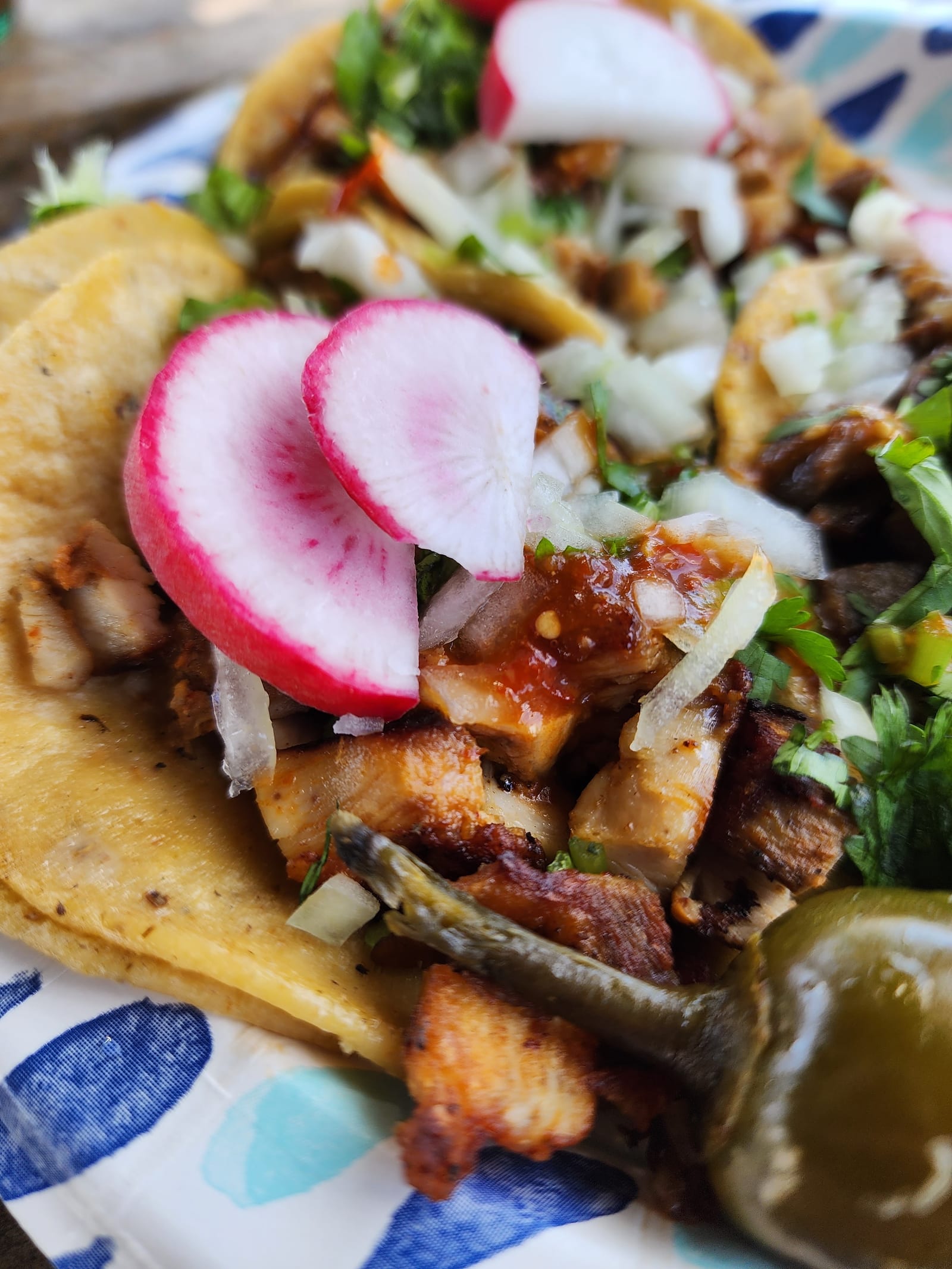 Tacos El Sabroson (Taco Truck)