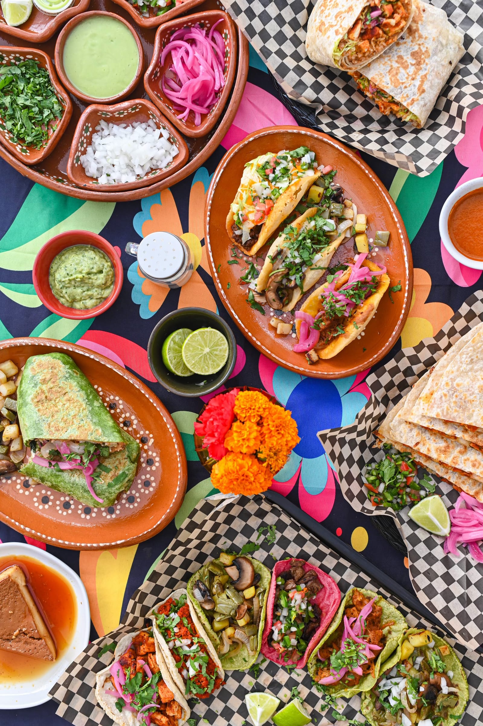 Taco Alebrije