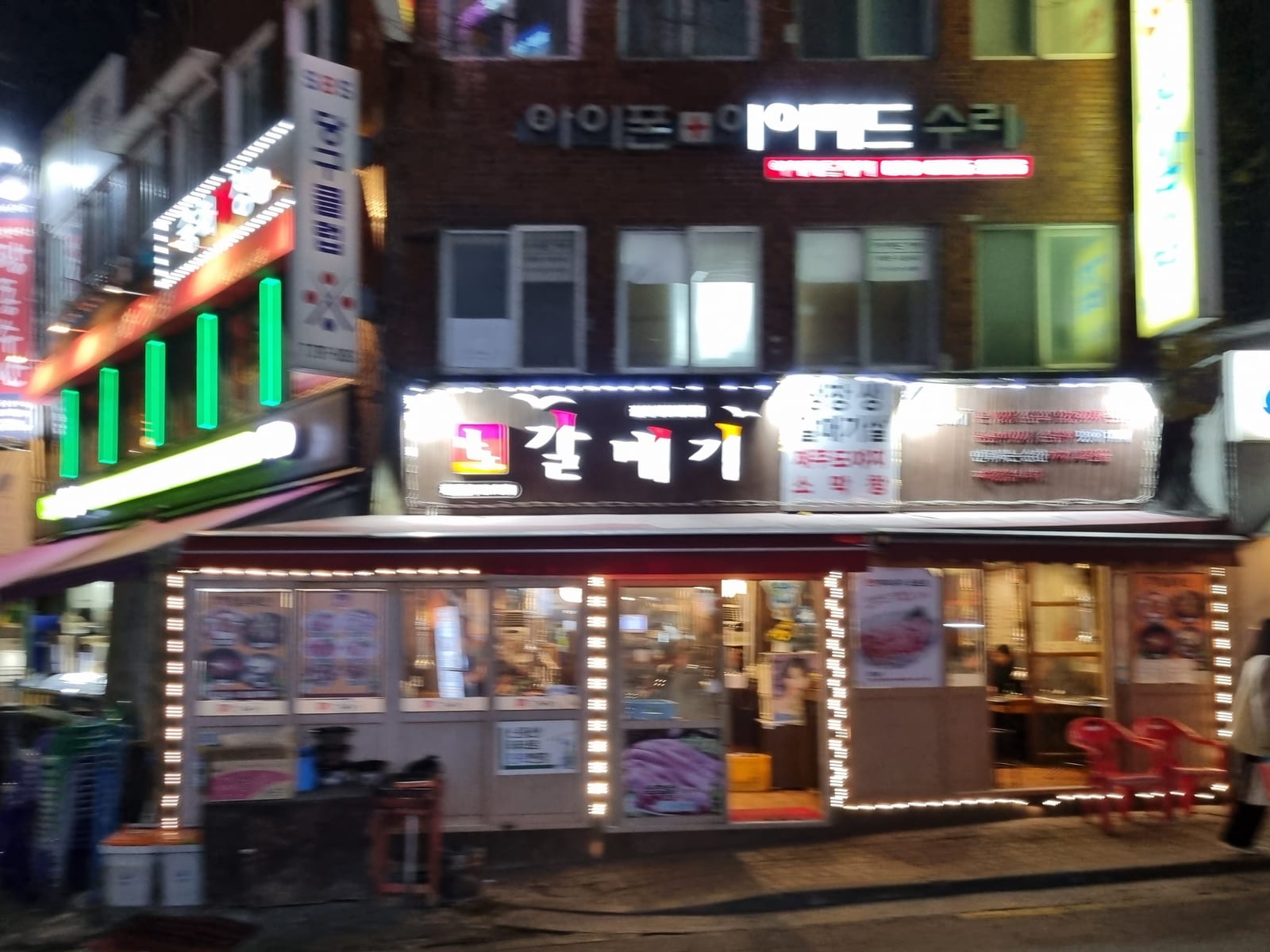 나노갈매기