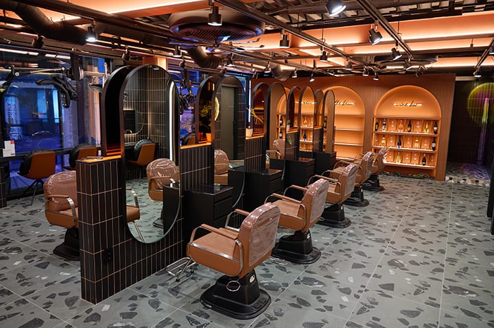 Paris Salon