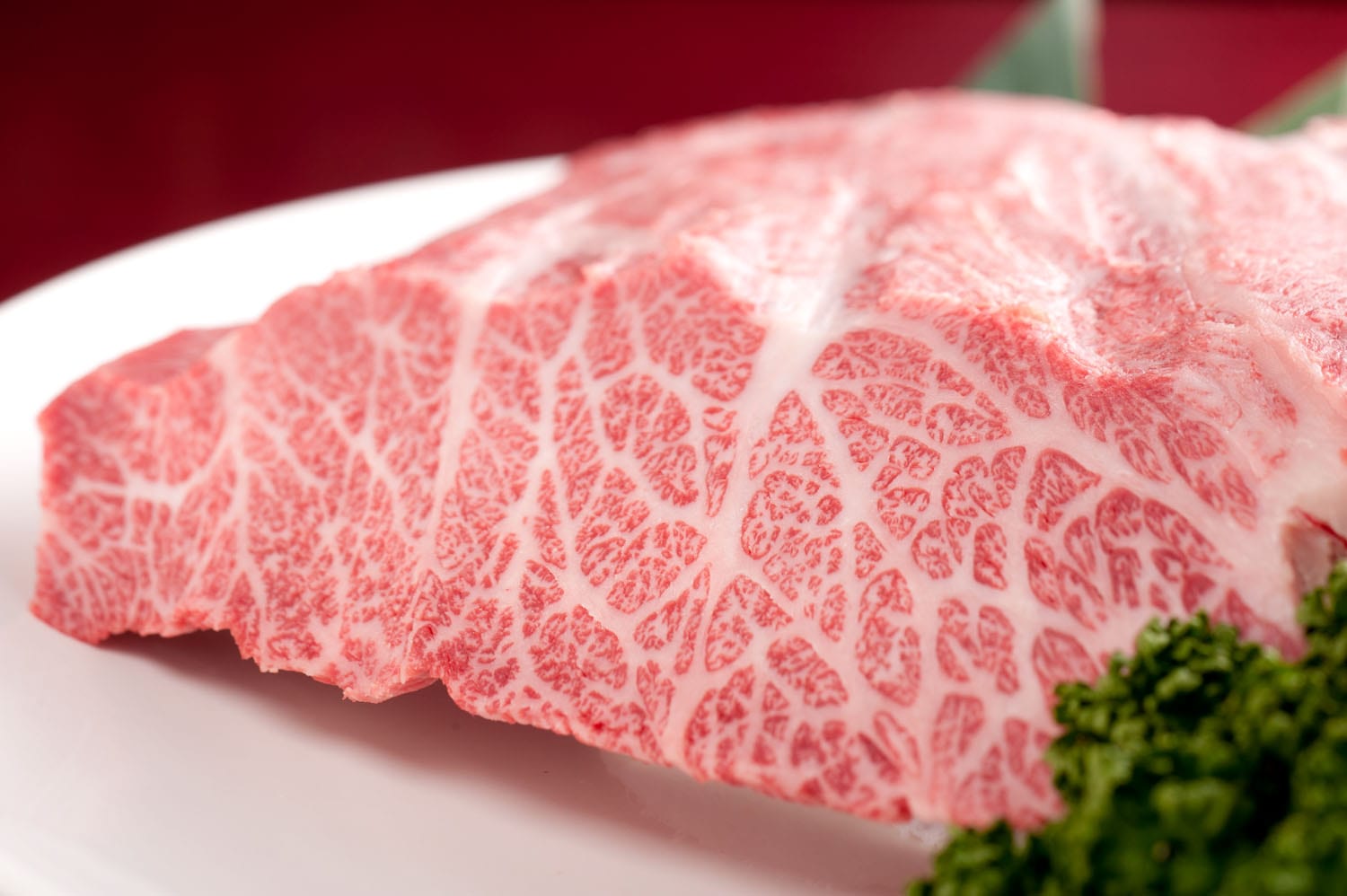 Shinjuku Ryuen