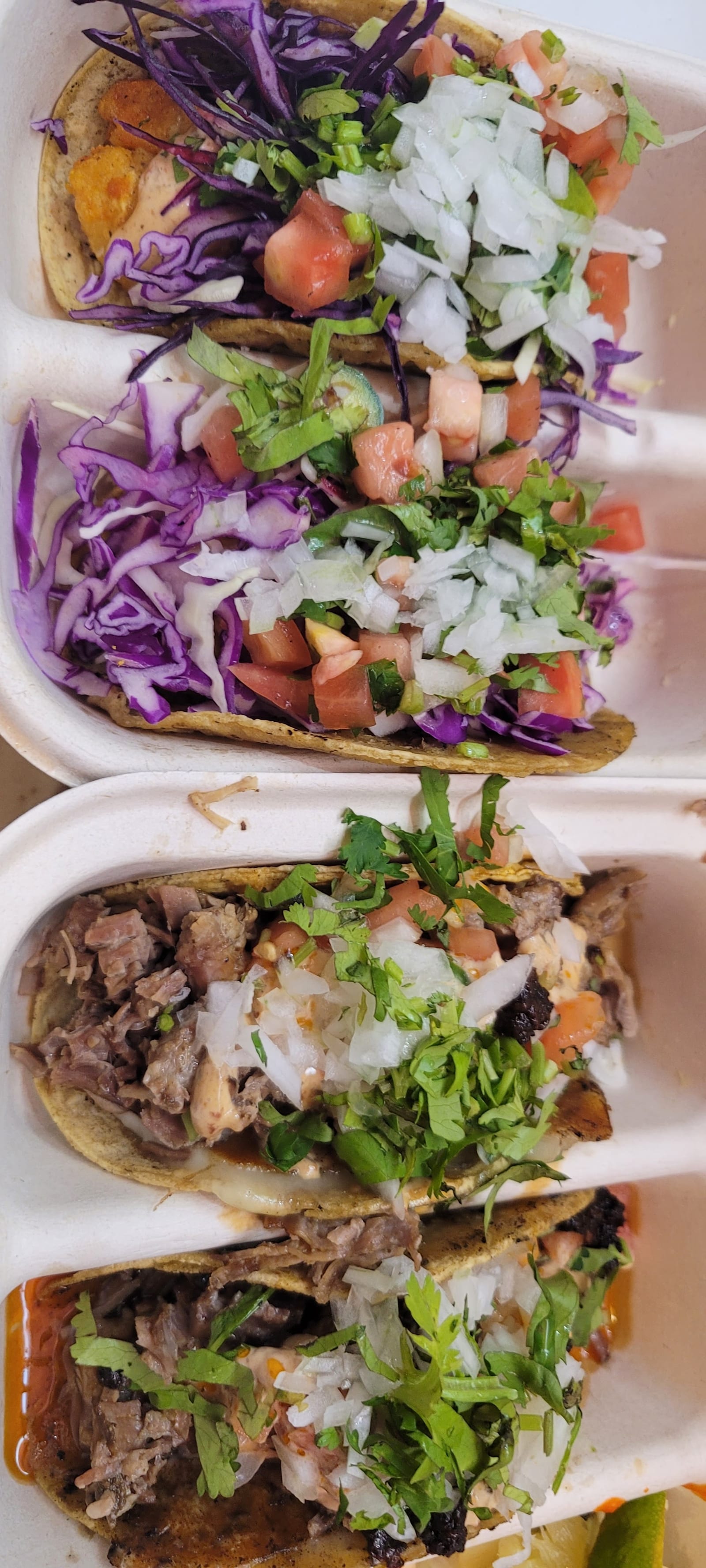 Holi Taco